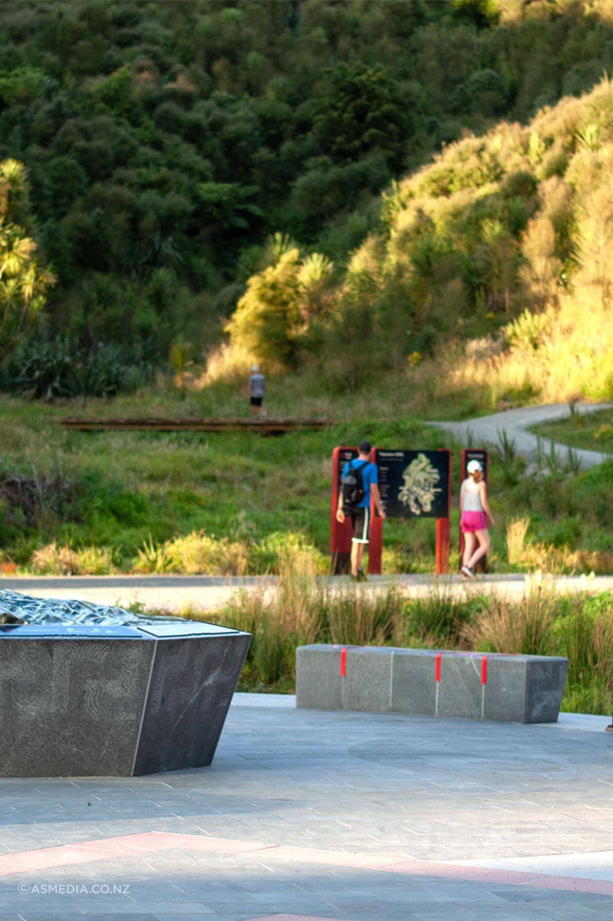 papamoa-hills-2-1755-x-1172-px-landscape.jpg