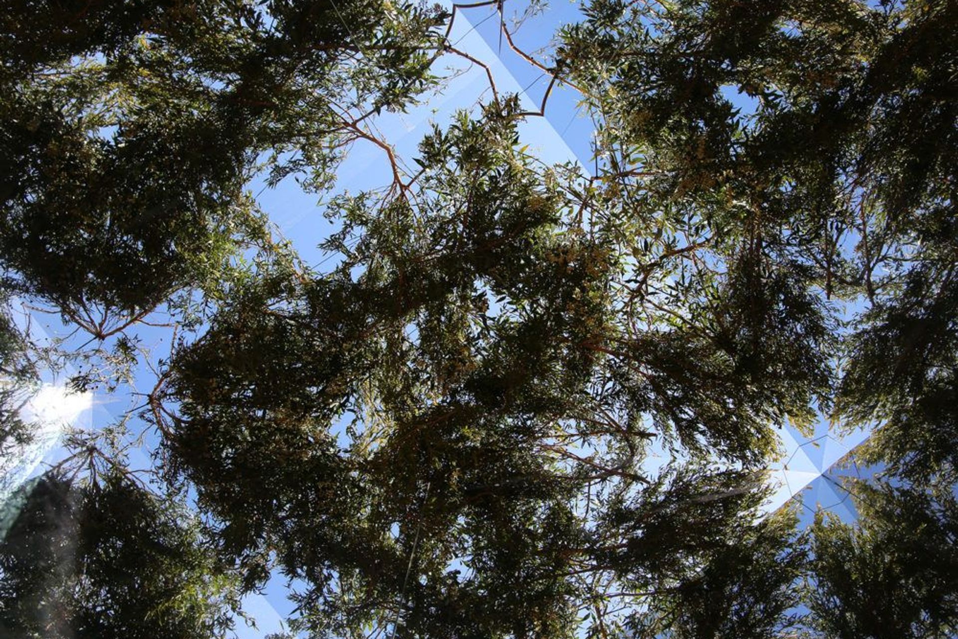 Monolitus Domum / Sculpture by the Sea