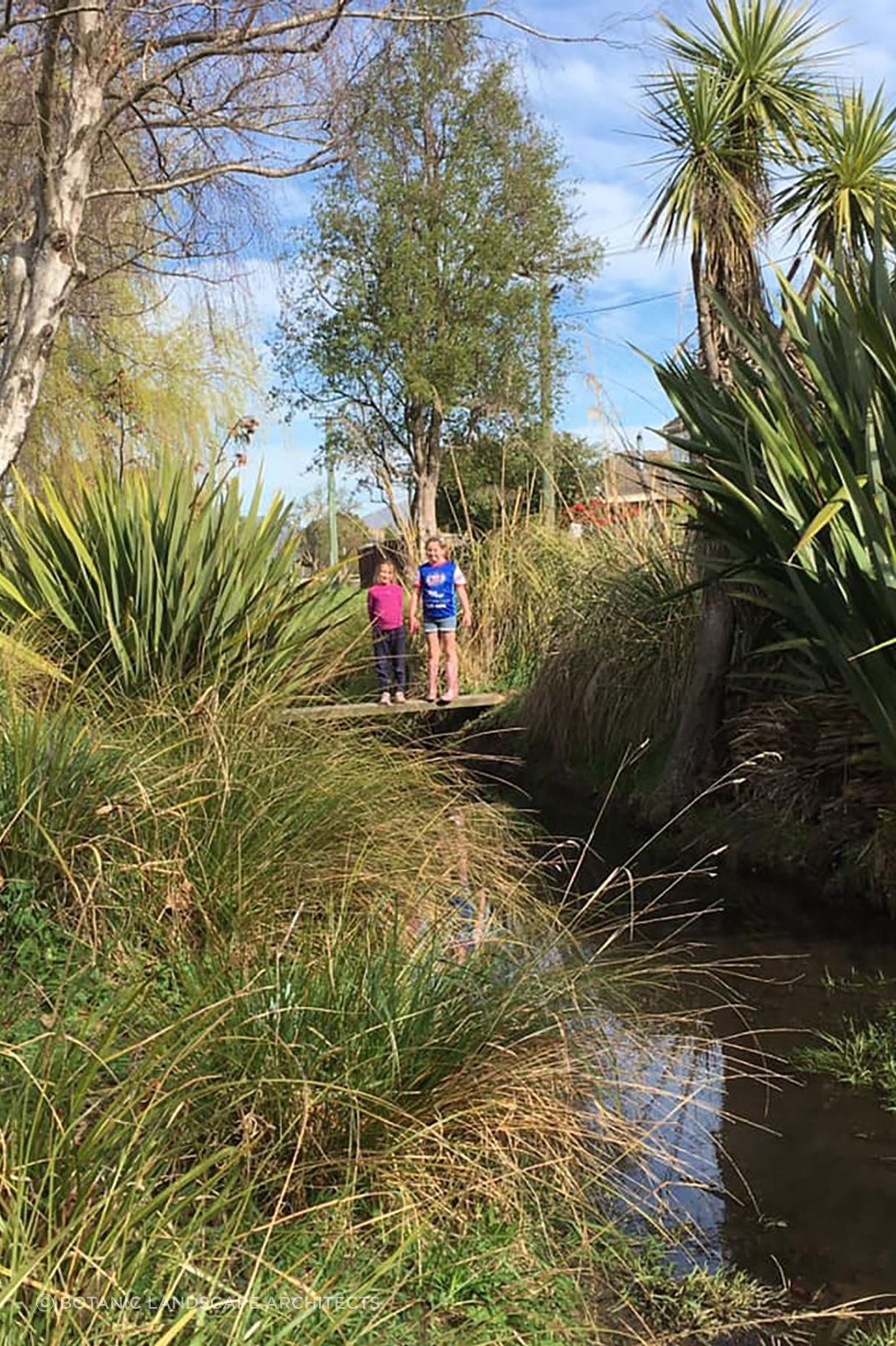 Shirley Stream revegetation