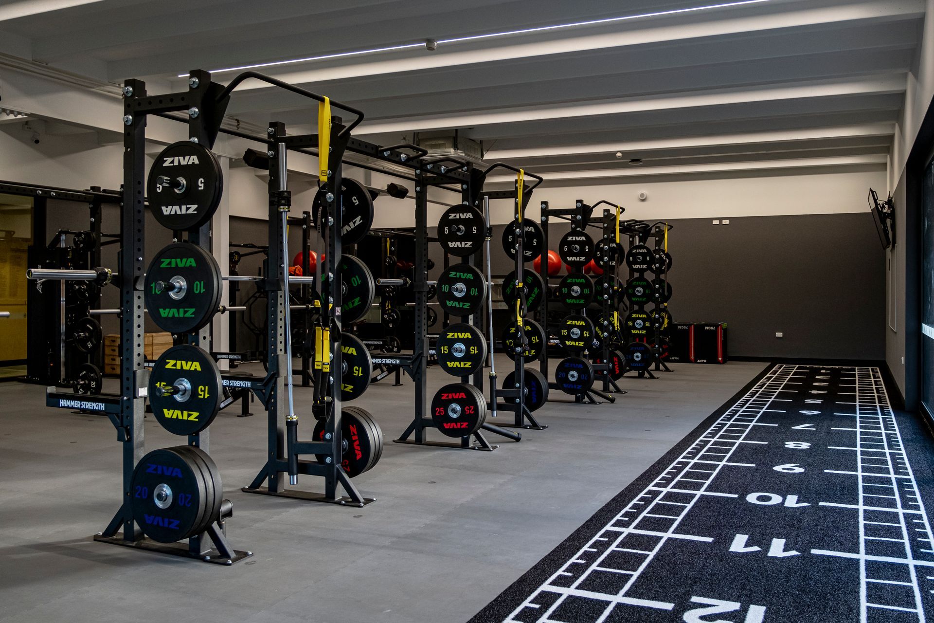 Pavigym Turf Custom Sprint Track