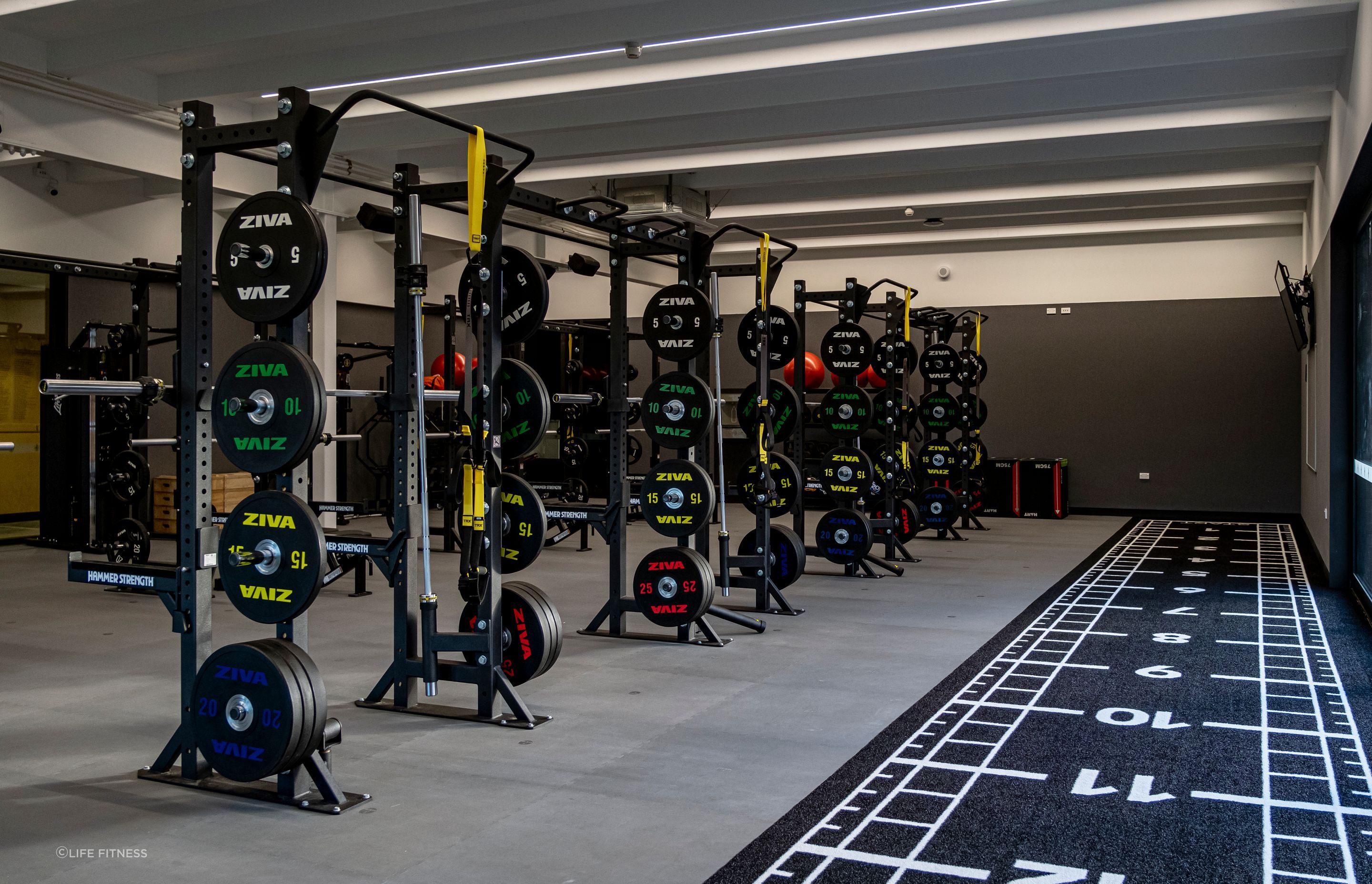 Pavigym Turf Custom Sprint Track