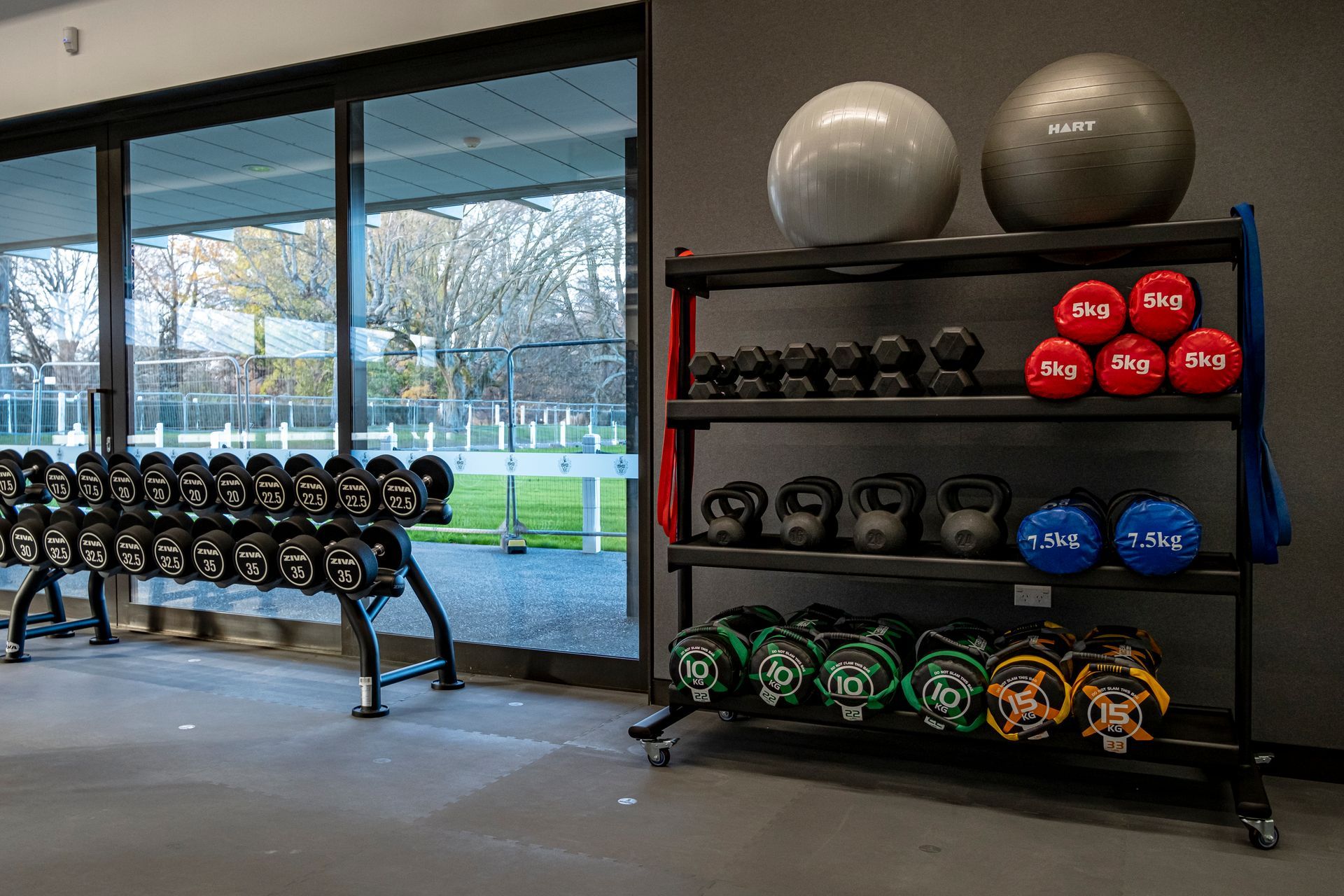 Specialist functional training accessories