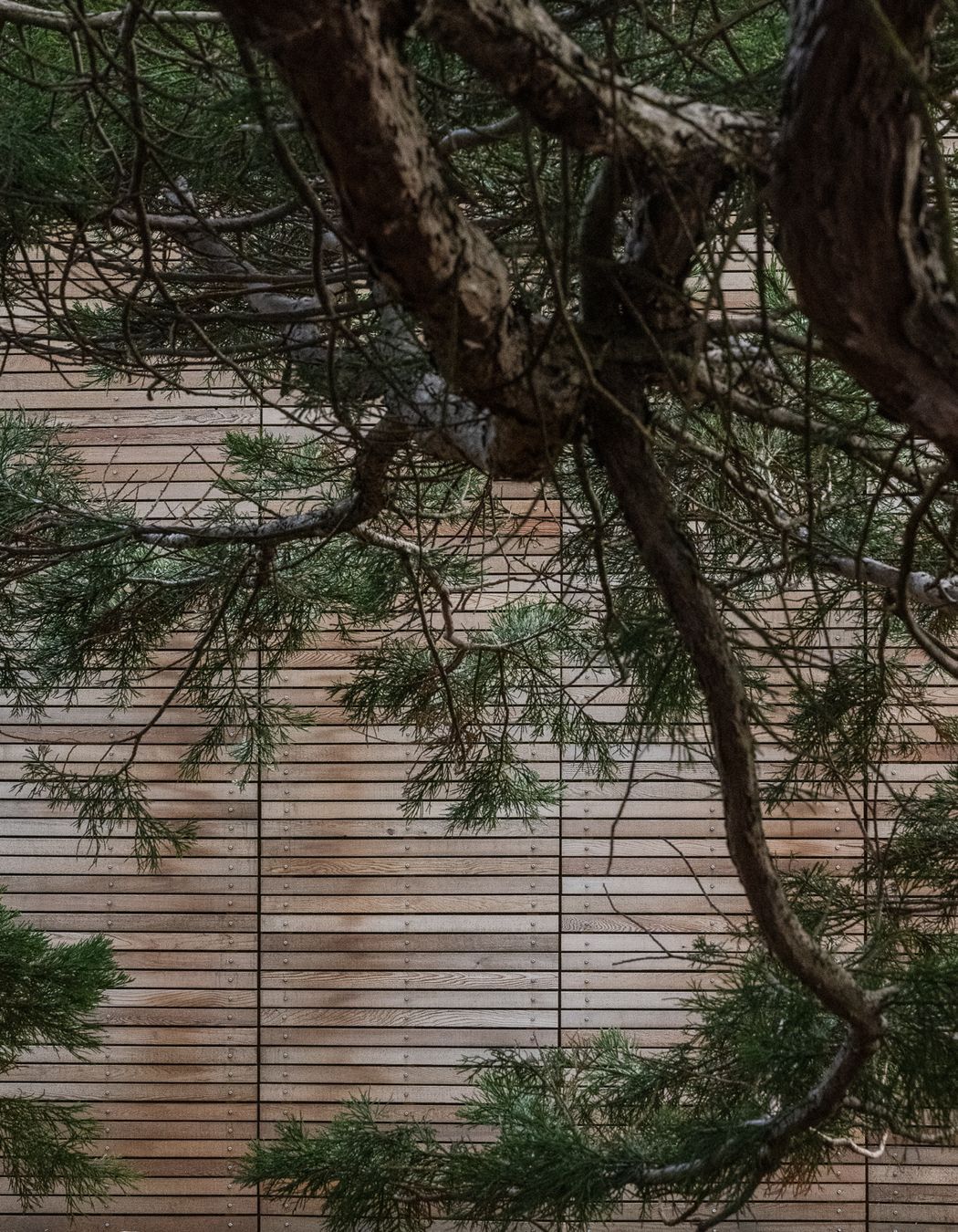 Wanaka Watersports Facility