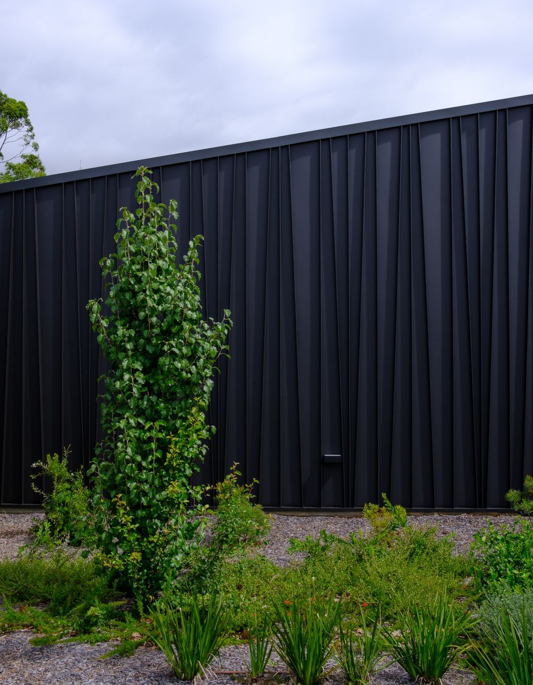Genesis (Standing Seam) Tapered – ‘Storey Park Community Centre’, Hornsby