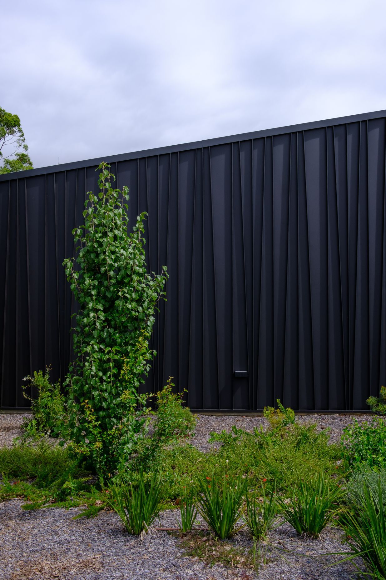 Genesis (Standing Seam) Tapered – ‘Storey Park Community Centre’, Hornsby
