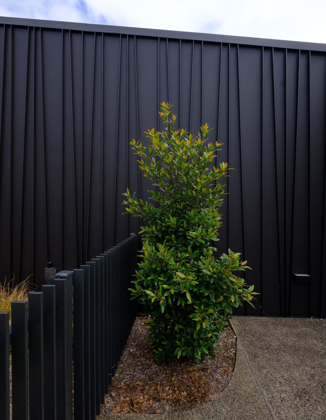 Genesis (Standing Seam) Tapered – ‘Storey Park Community Centre’, Hornsby