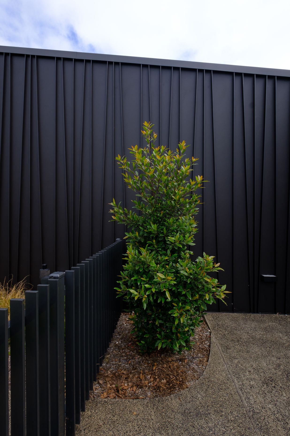Genesis (Standing Seam) Tapered – ‘Storey Park Community Centre’, Hornsby