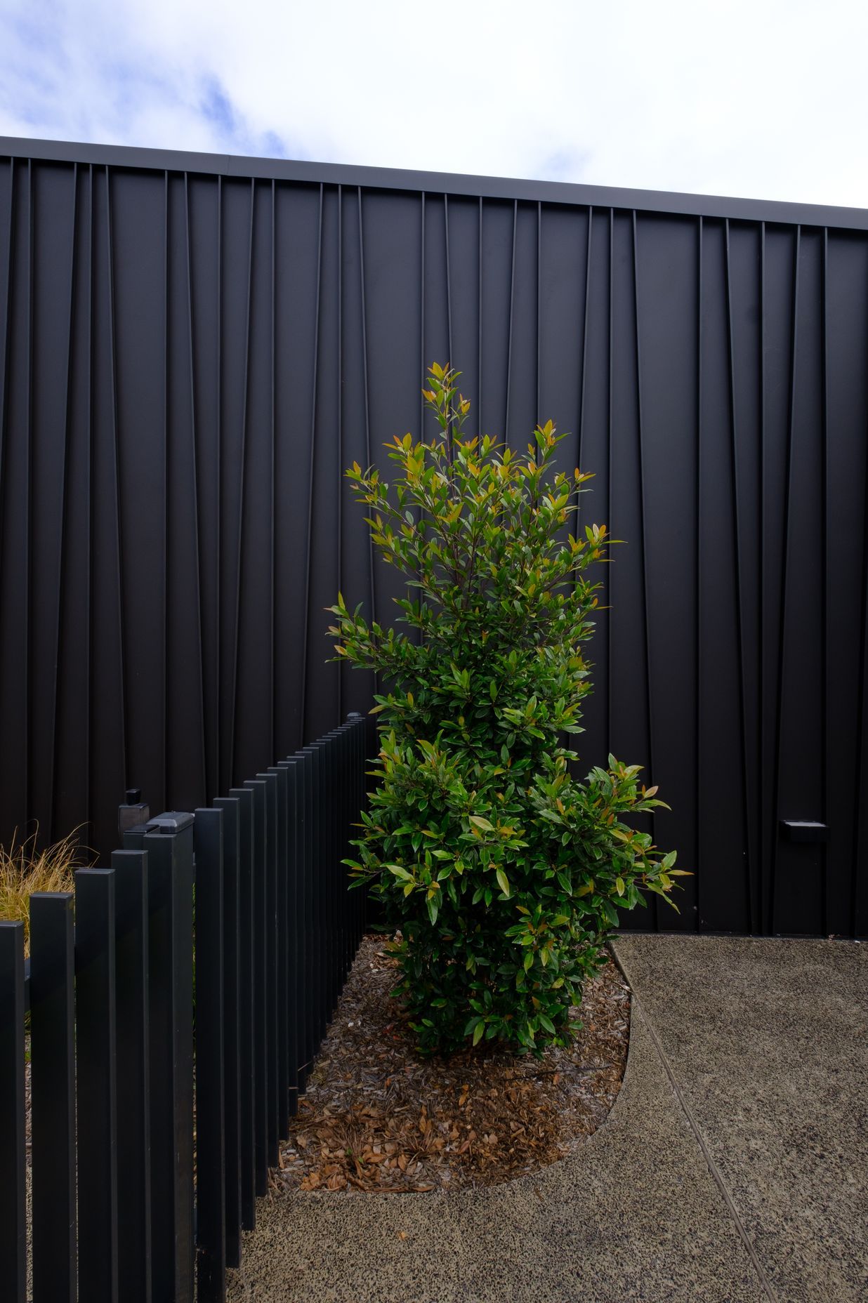 Genesis (Standing Seam) Tapered – ‘Storey Park Community Centre’, Hornsby