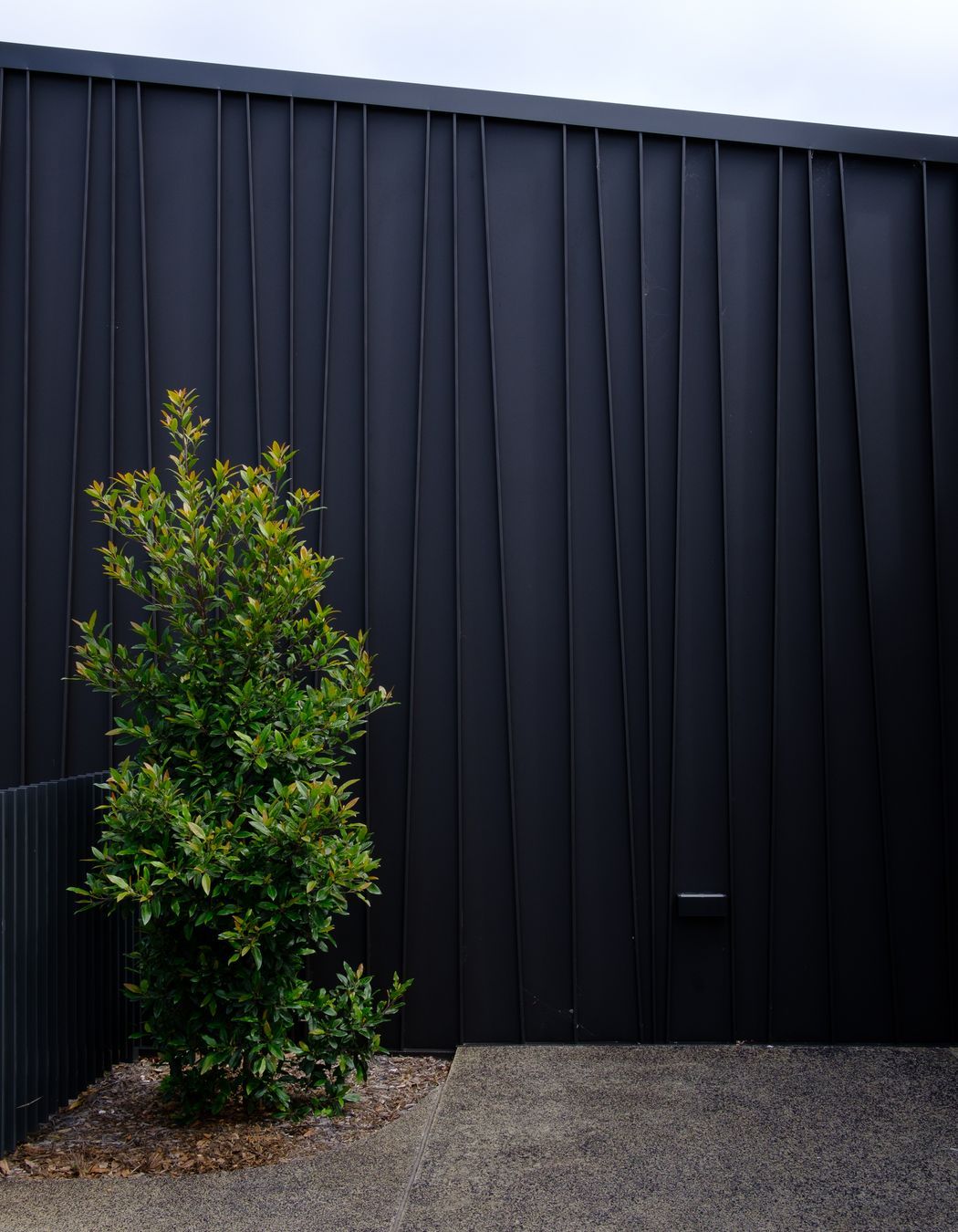 Genesis (Standing Seam) Tapered – ‘Storey Park Community Centre’, Hornsby