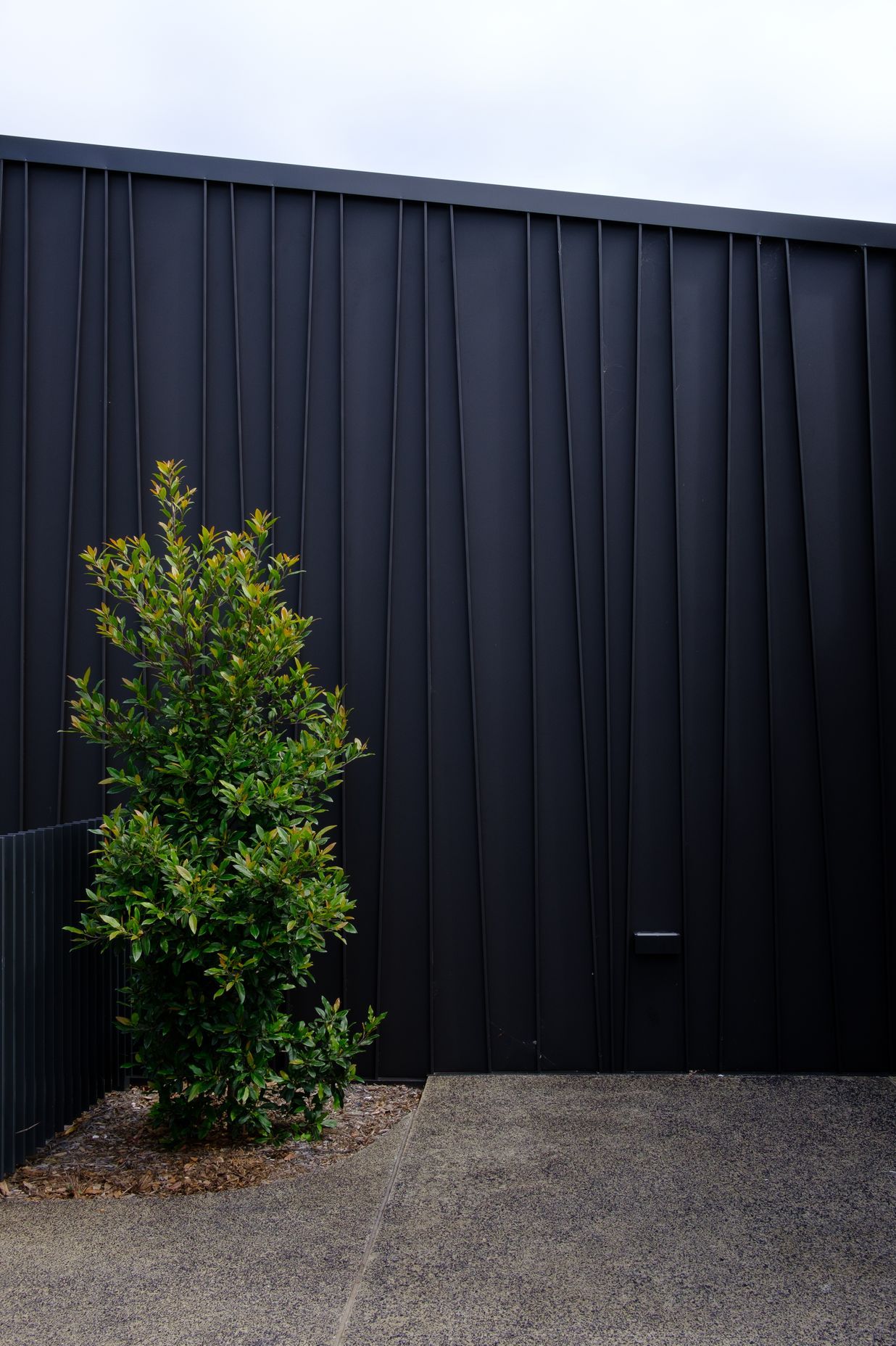 Genesis (Standing Seam) Tapered – ‘Storey Park Community Centre’, Hornsby