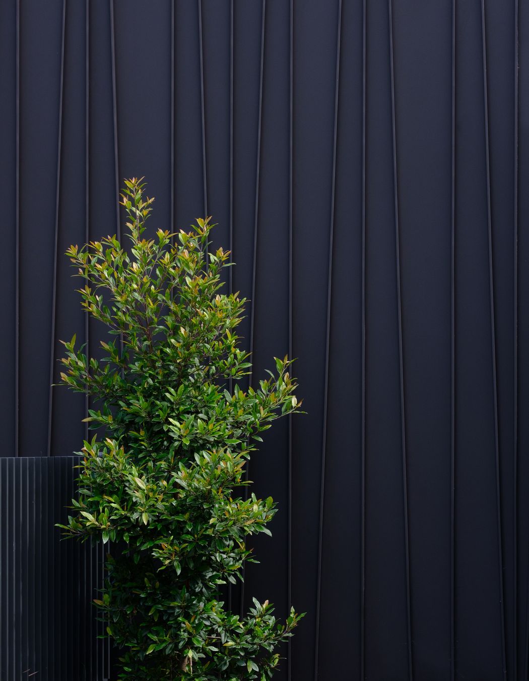 Genesis (Standing Seam) Tapered – ‘Storey Park Community Centre’, Hornsby