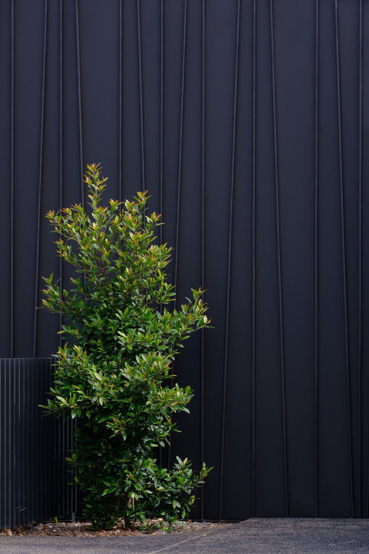 Genesis (Standing Seam) Tapered – ‘Storey Park Community Centre’, Hornsby
