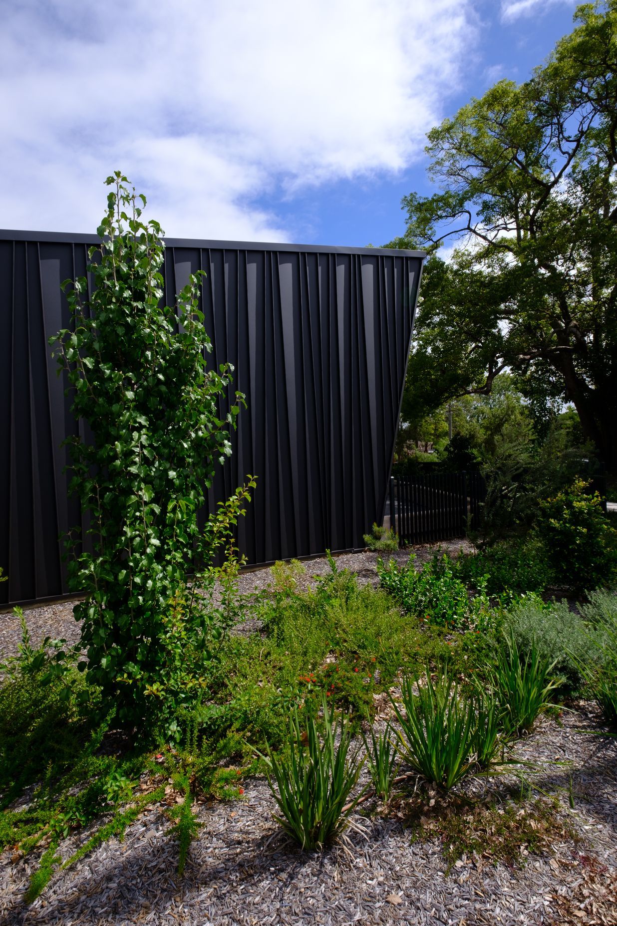 Genesis (Standing Seam) Tapered – ‘Storey Park Community Centre’, Hornsby