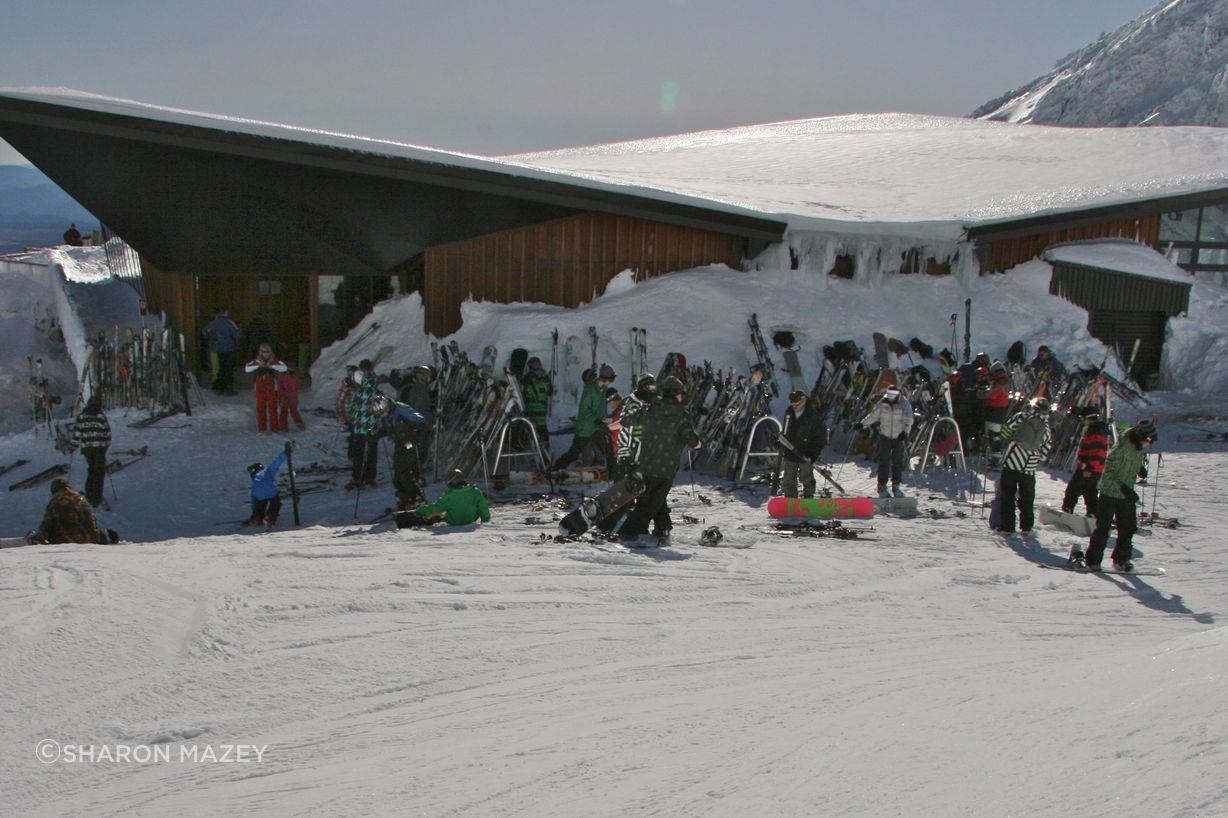 IMG7534.JPG