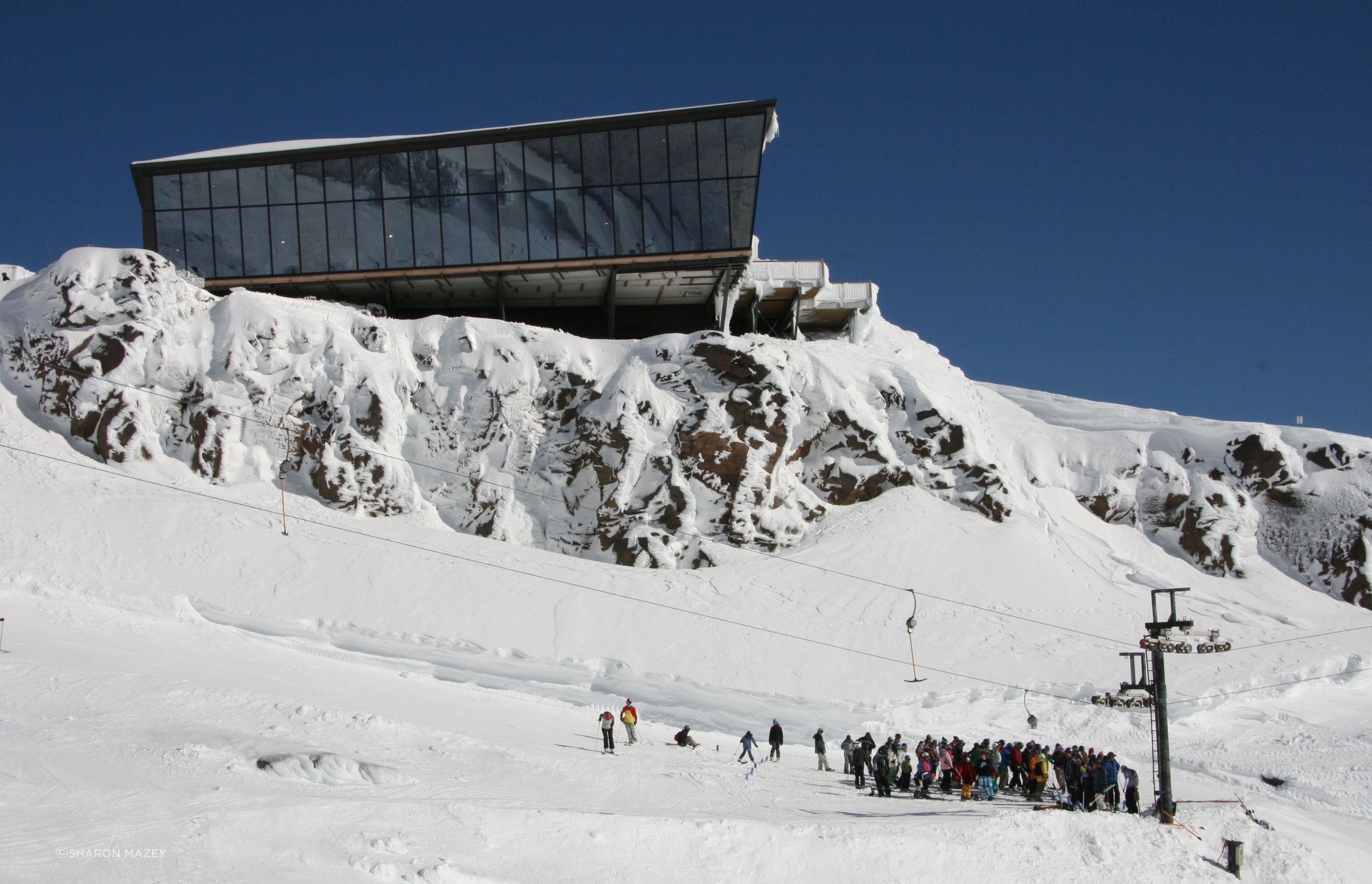 IMG7564.JPG