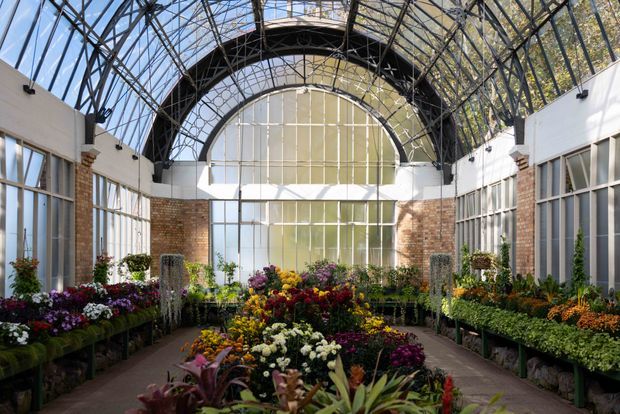 A bright enclosed conservatory or glasshouse filled with rows of flowering plants and greenery. The space features a dramatic high arched glazed roof supported by an exposed dark metal frame, large multi-pane windows, and exposed red-brick walls. Central planting displays create a symmetrical garden-like interior walkway.