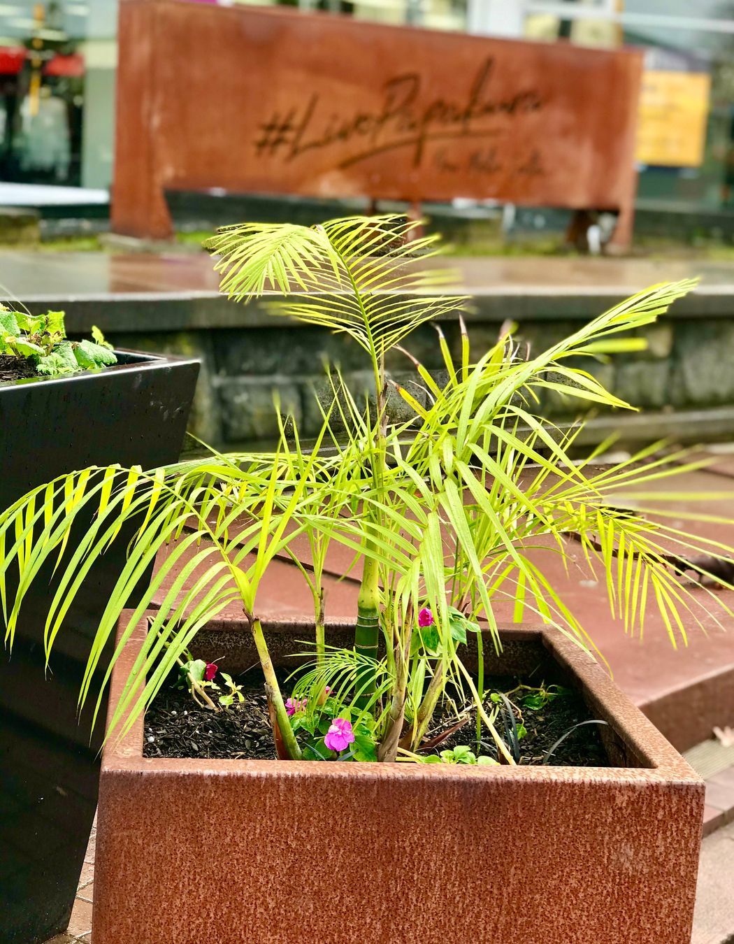 Papakura Town Centre