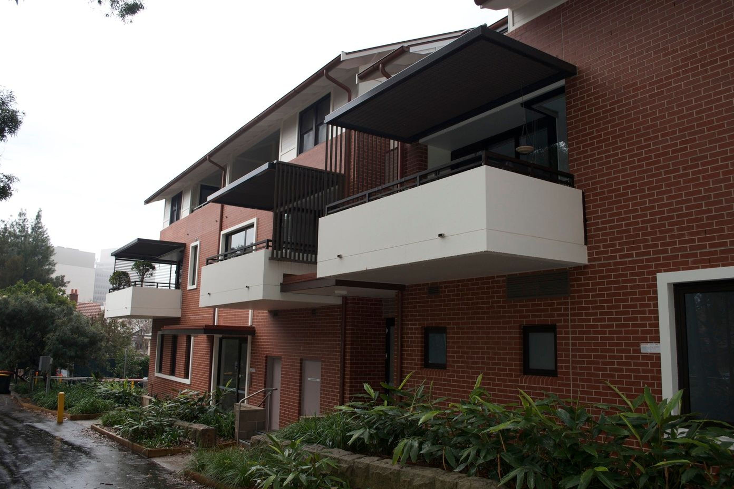 DSC1389.jpg
