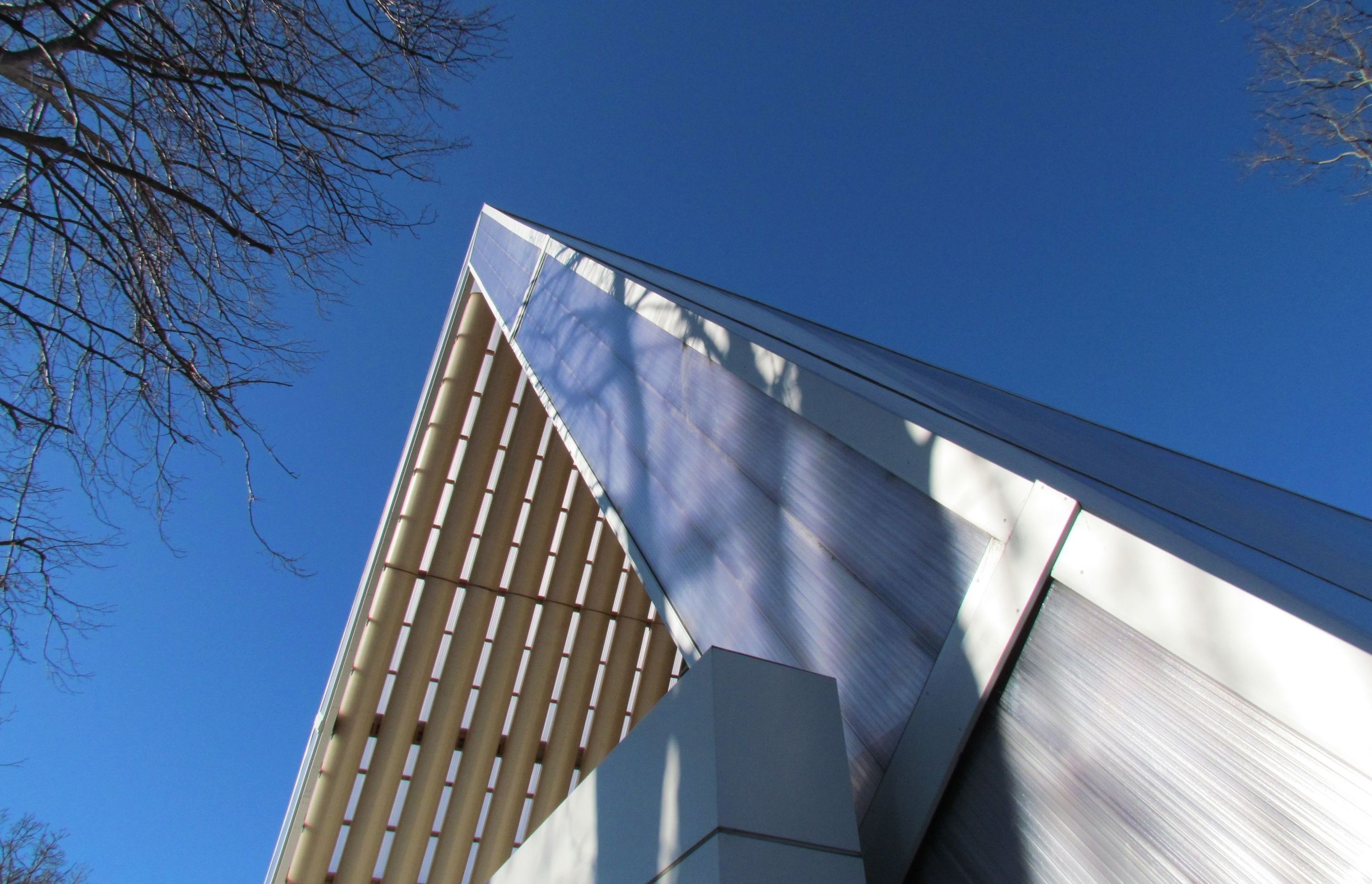 Cardboard Cathedral