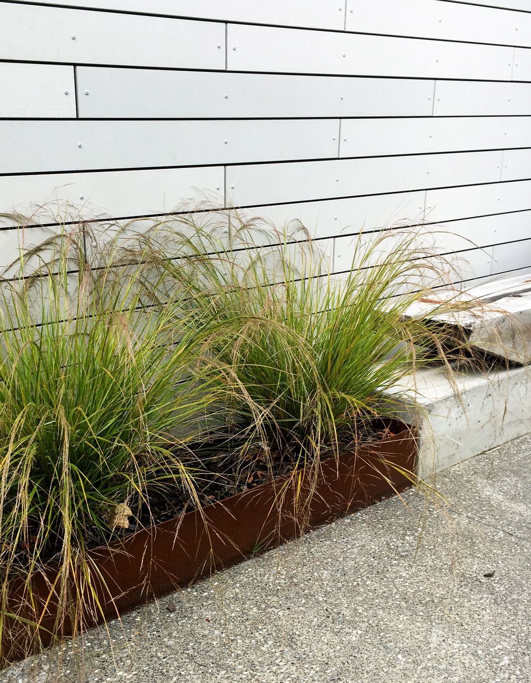 Oxford Terrace Baptist Church