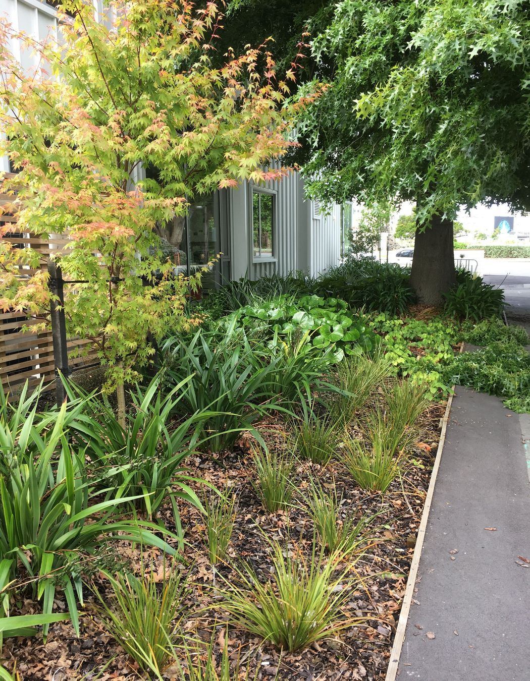 Oxford Terrace Baptist Church