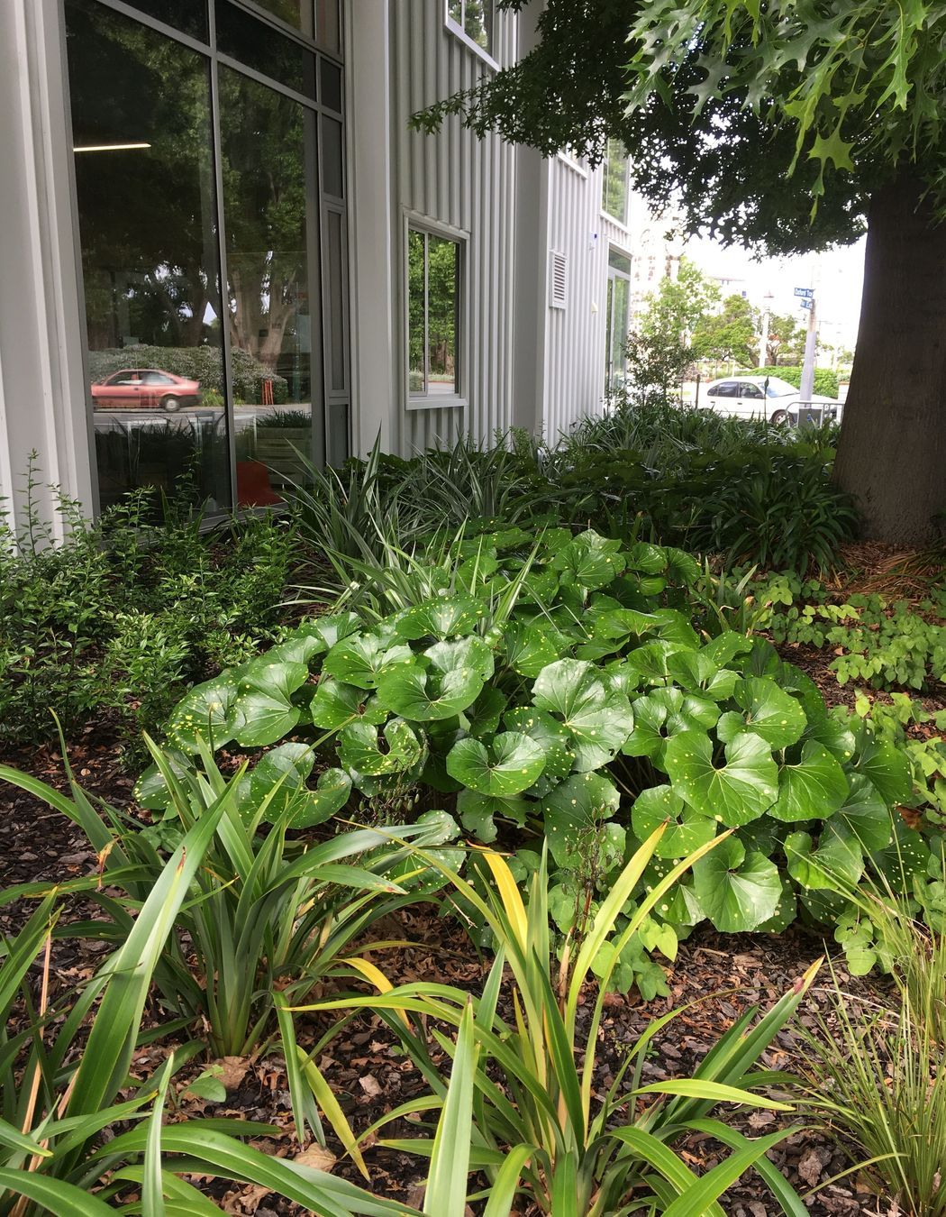 Oxford Terrace Baptist Church