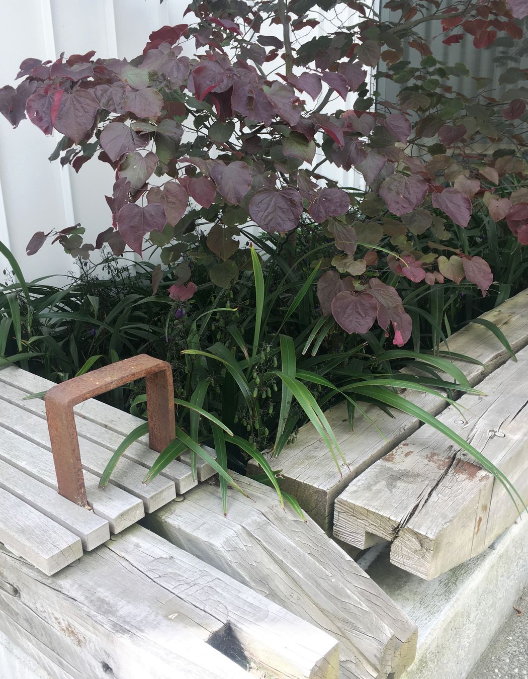 Oxford Terrace Baptist Church