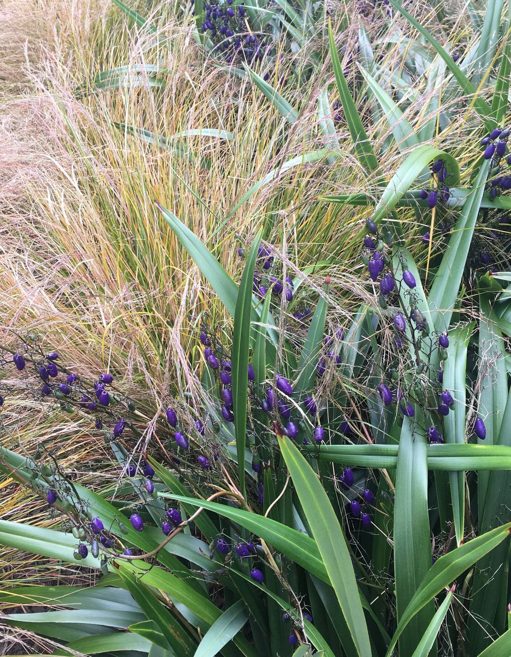 Oxford Terrace Baptist Church