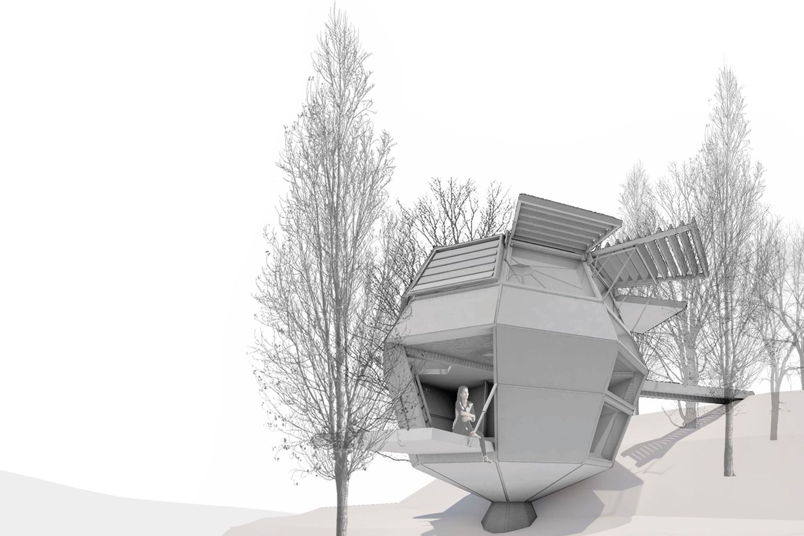 Forest Domus