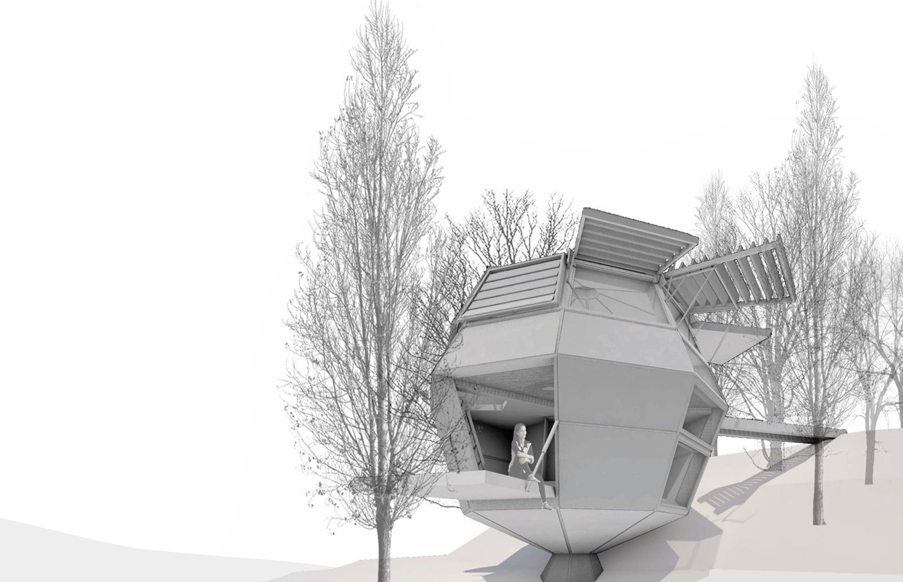 Forest Domus