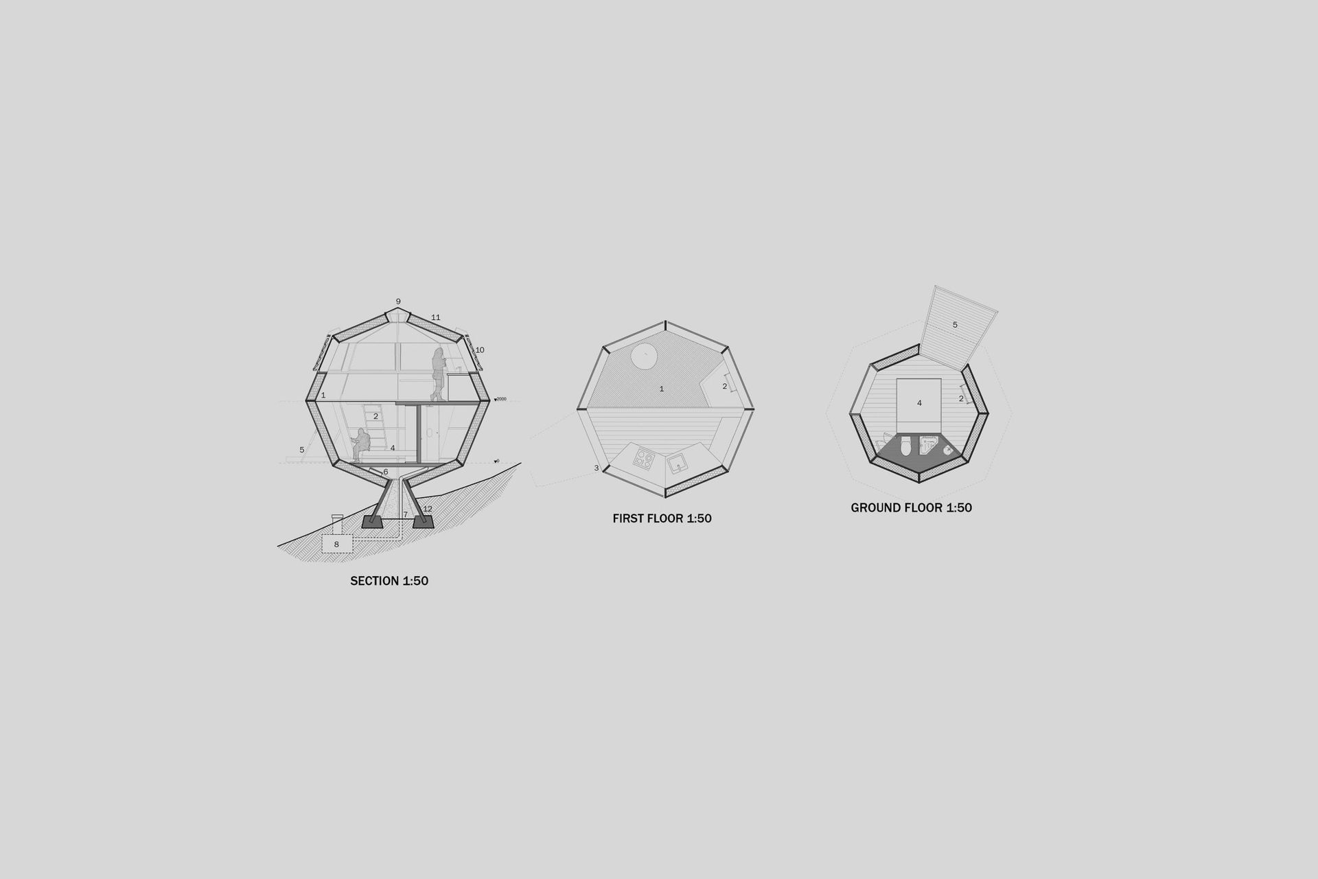 Forest Domus
