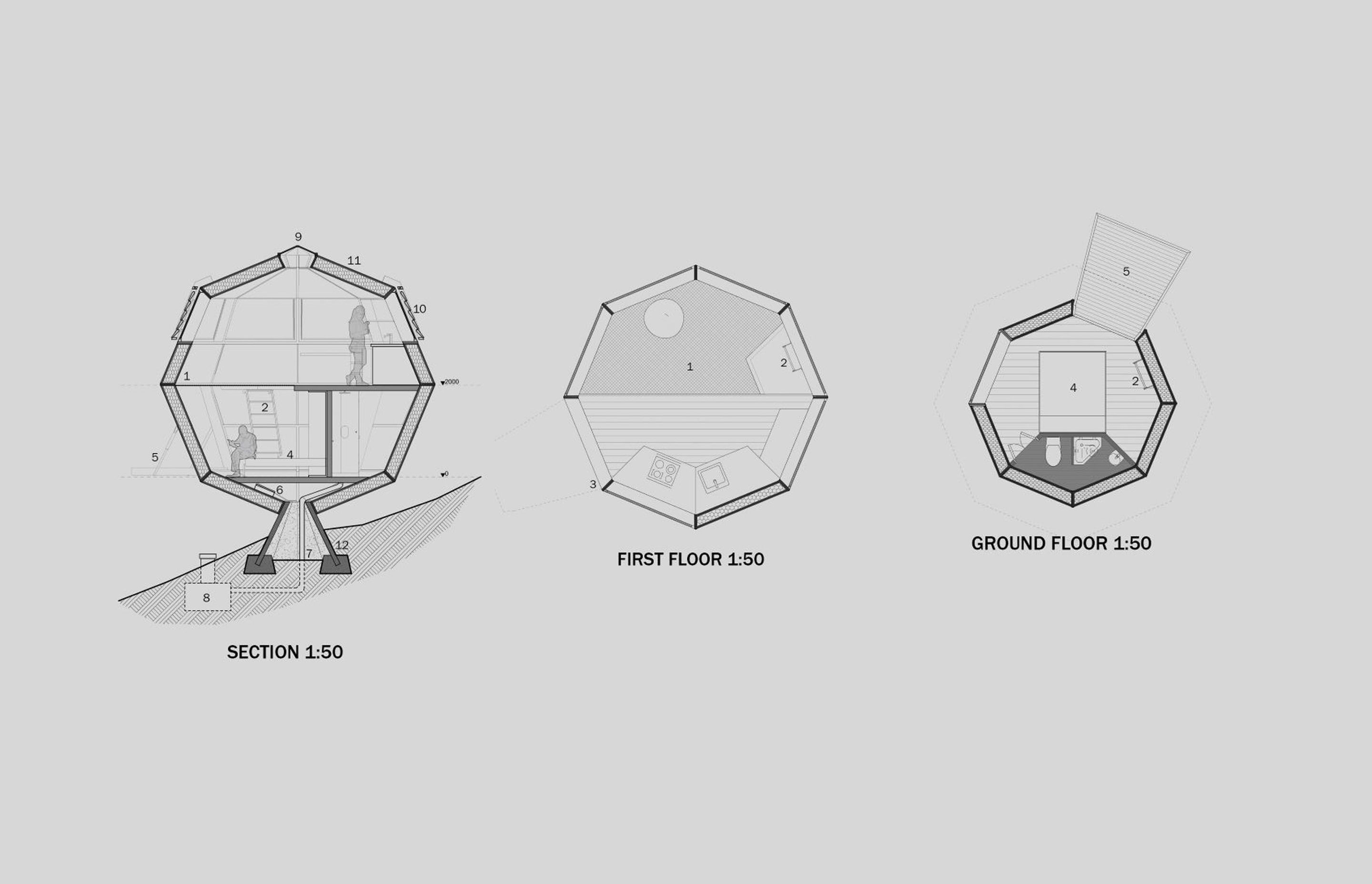 Forest Domus