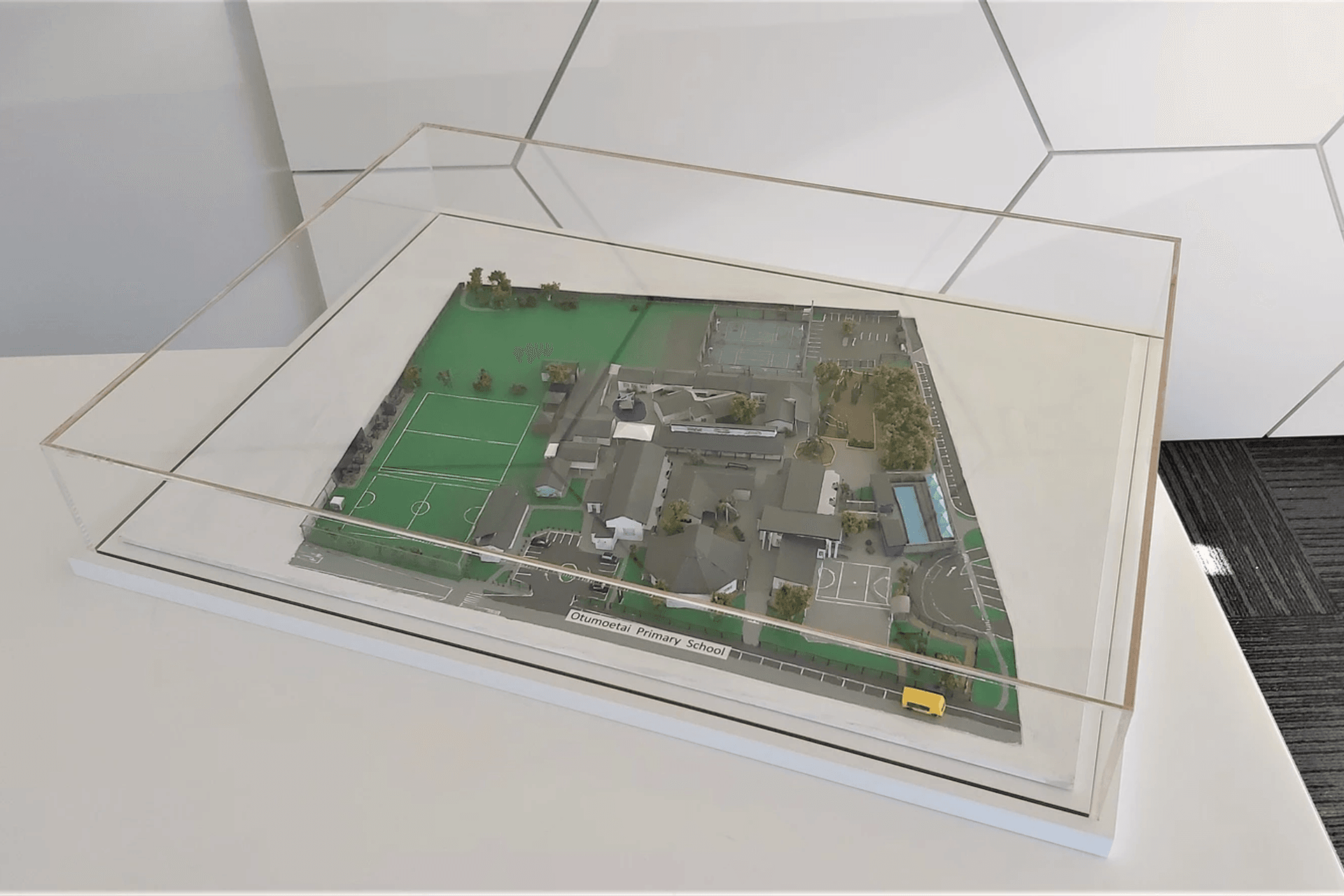 Otumoetai School Acrylic Display Case