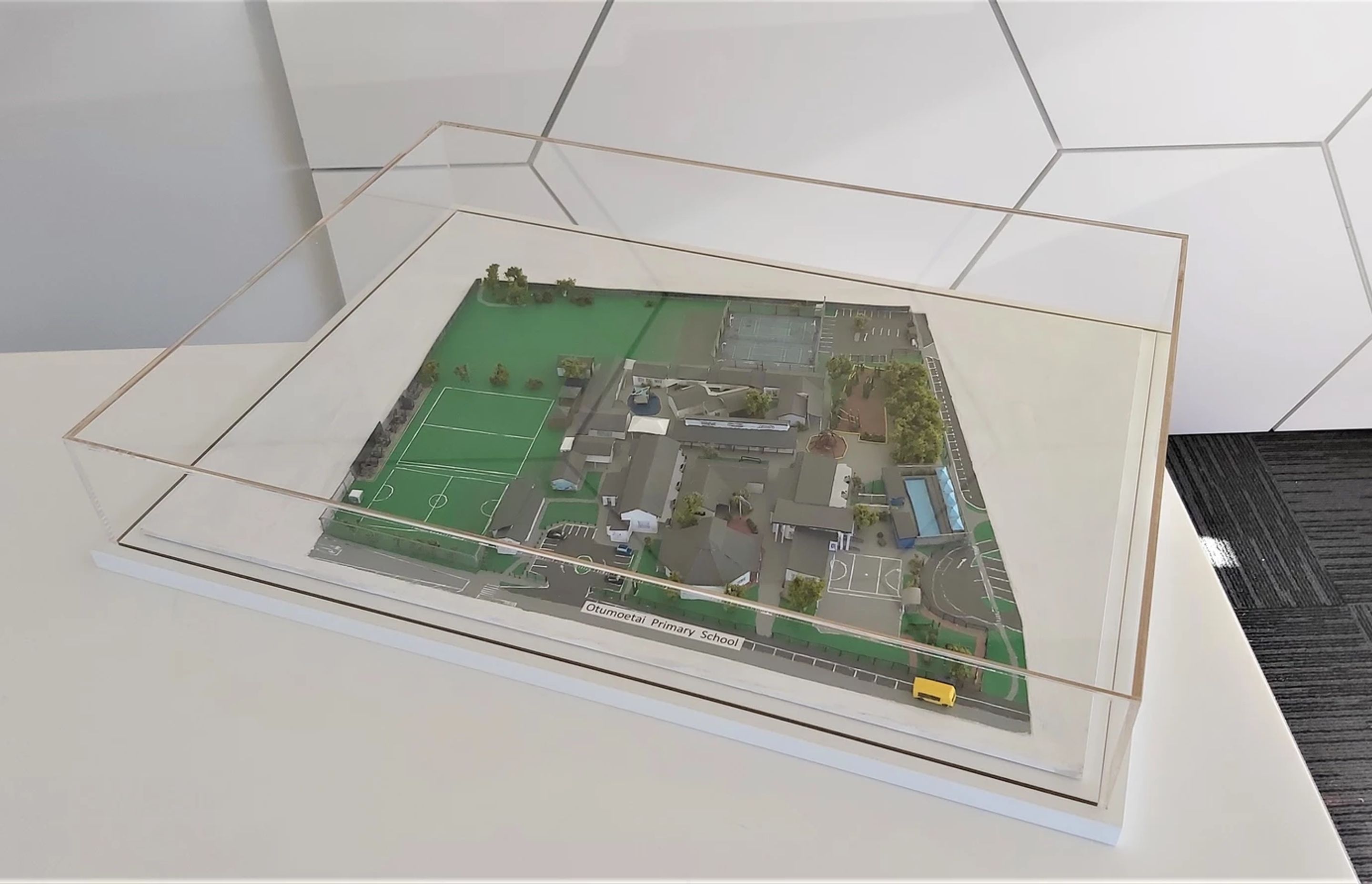 Otumoetai School Acrylic Display Case