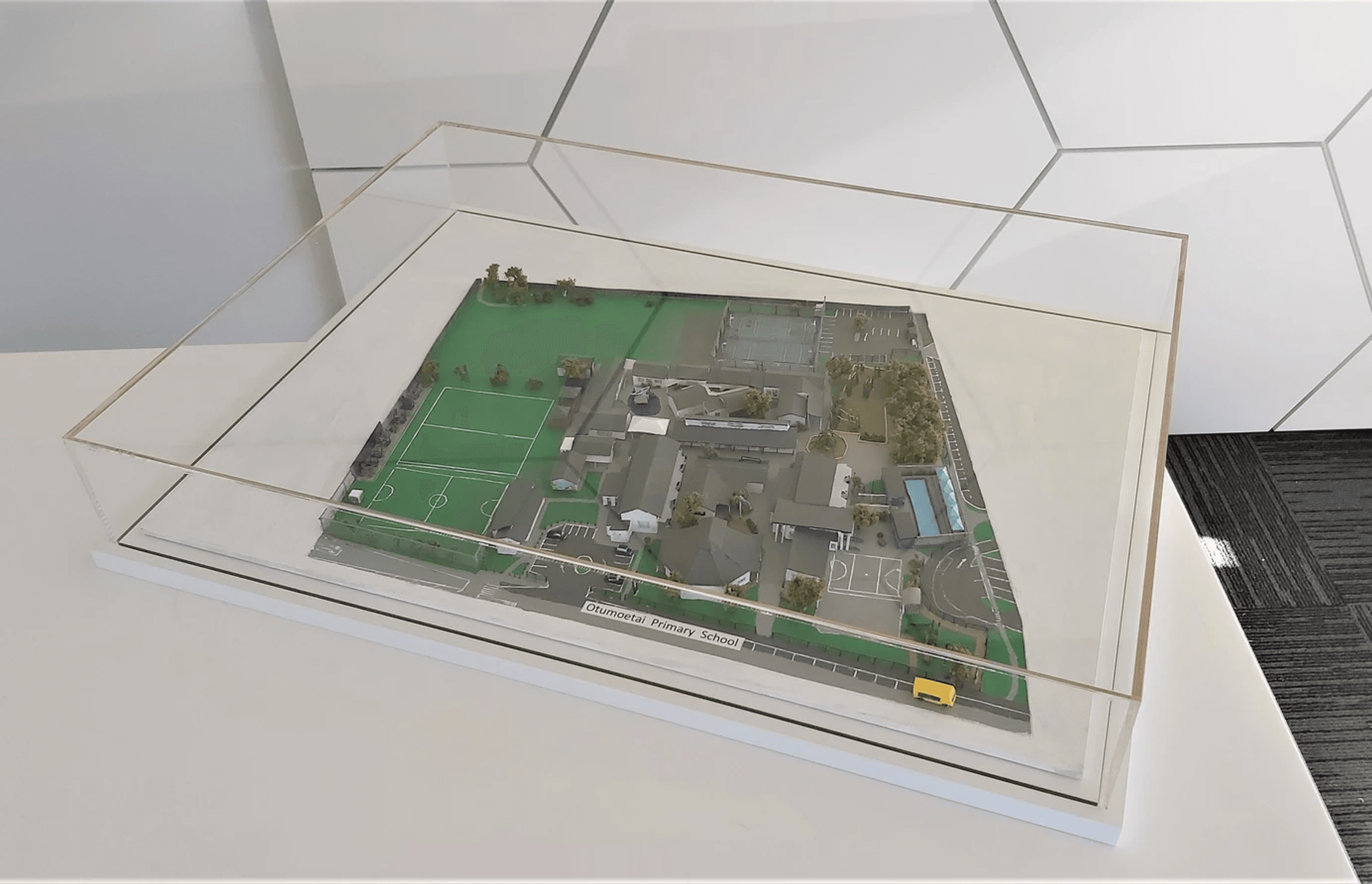 Otumoetai School Acrylic Display Case