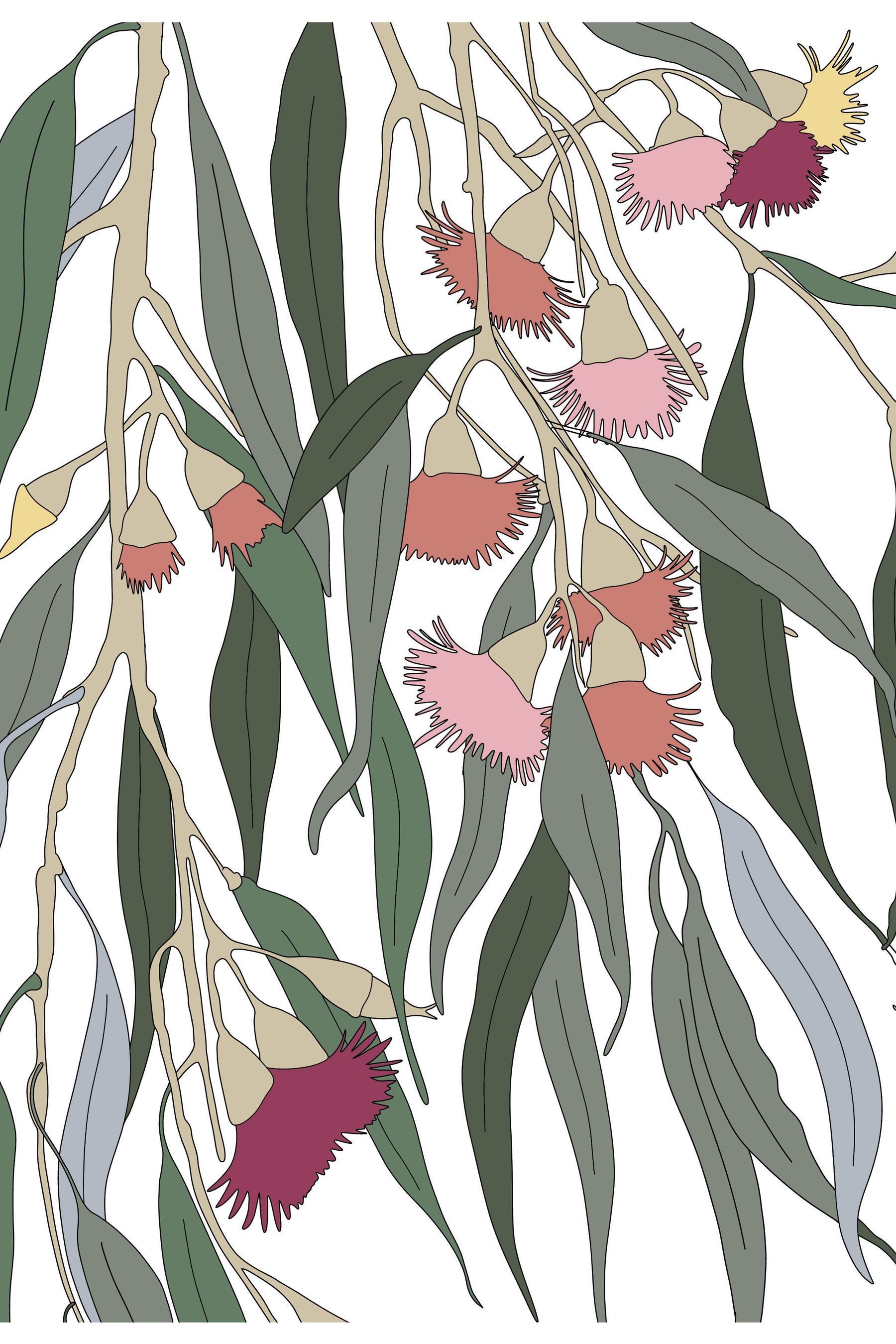 Bloom-Evening-Glow.jpg