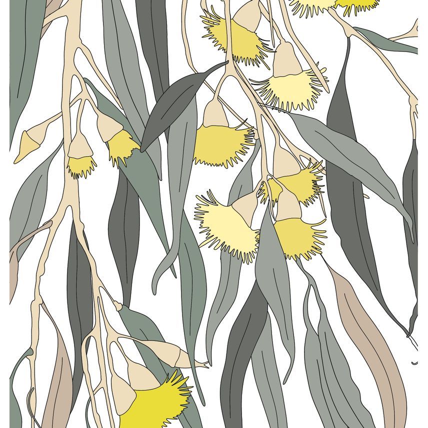Bloom-Precious-Sunshine.jpg