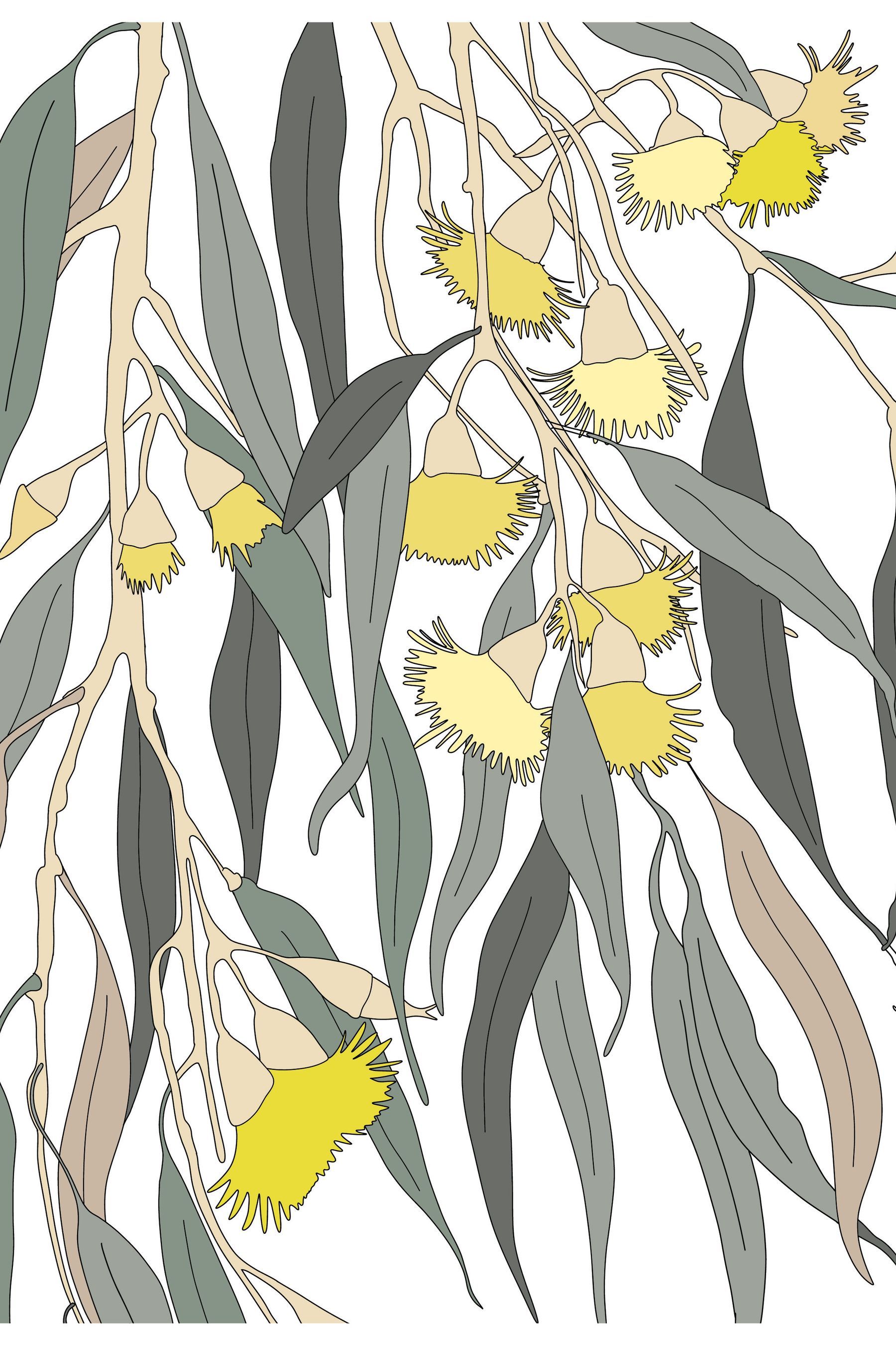 Bloom-Precious-Sunshine.jpg