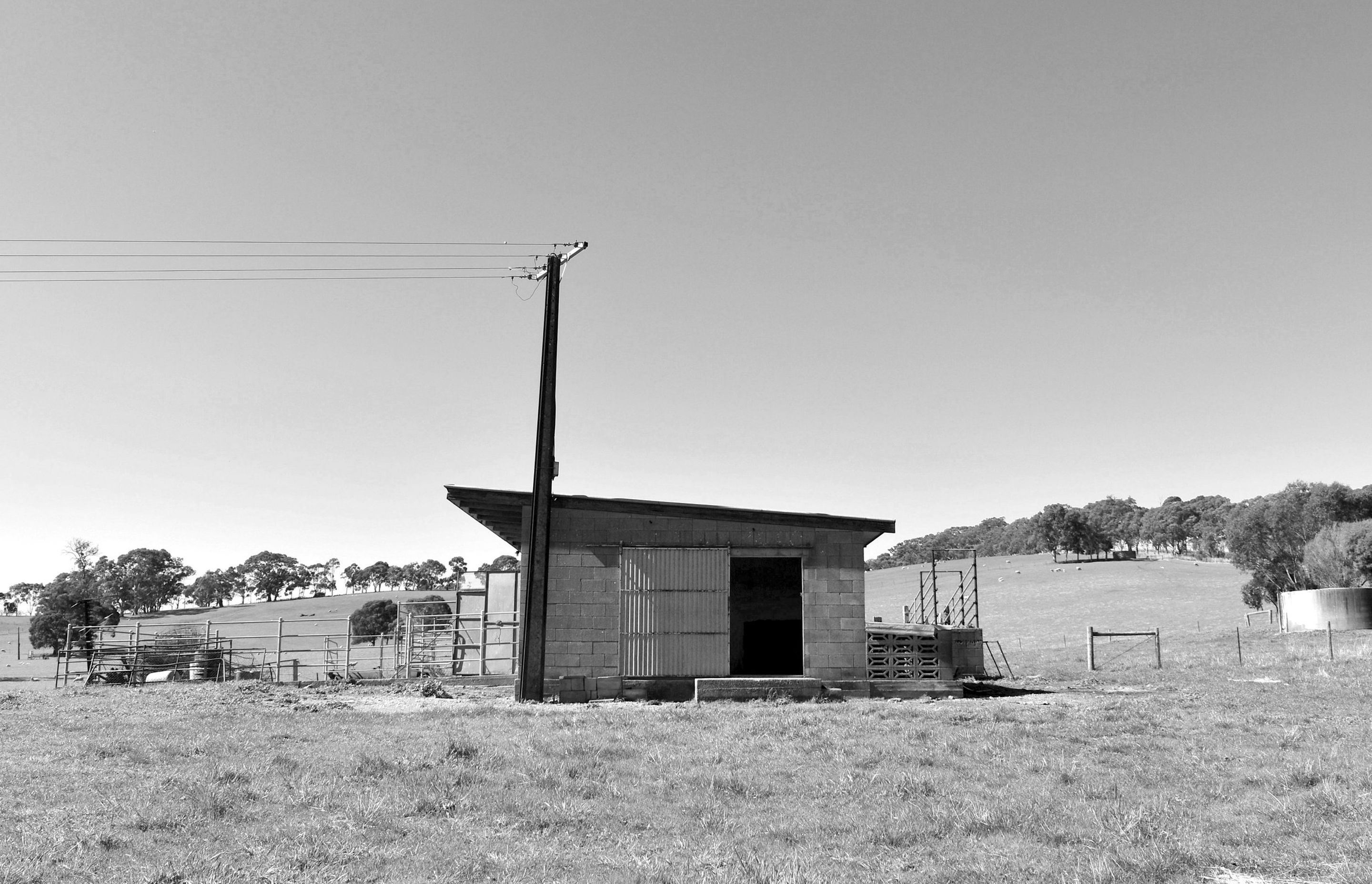 Cellar-Door-Milkshed4.jpeg
