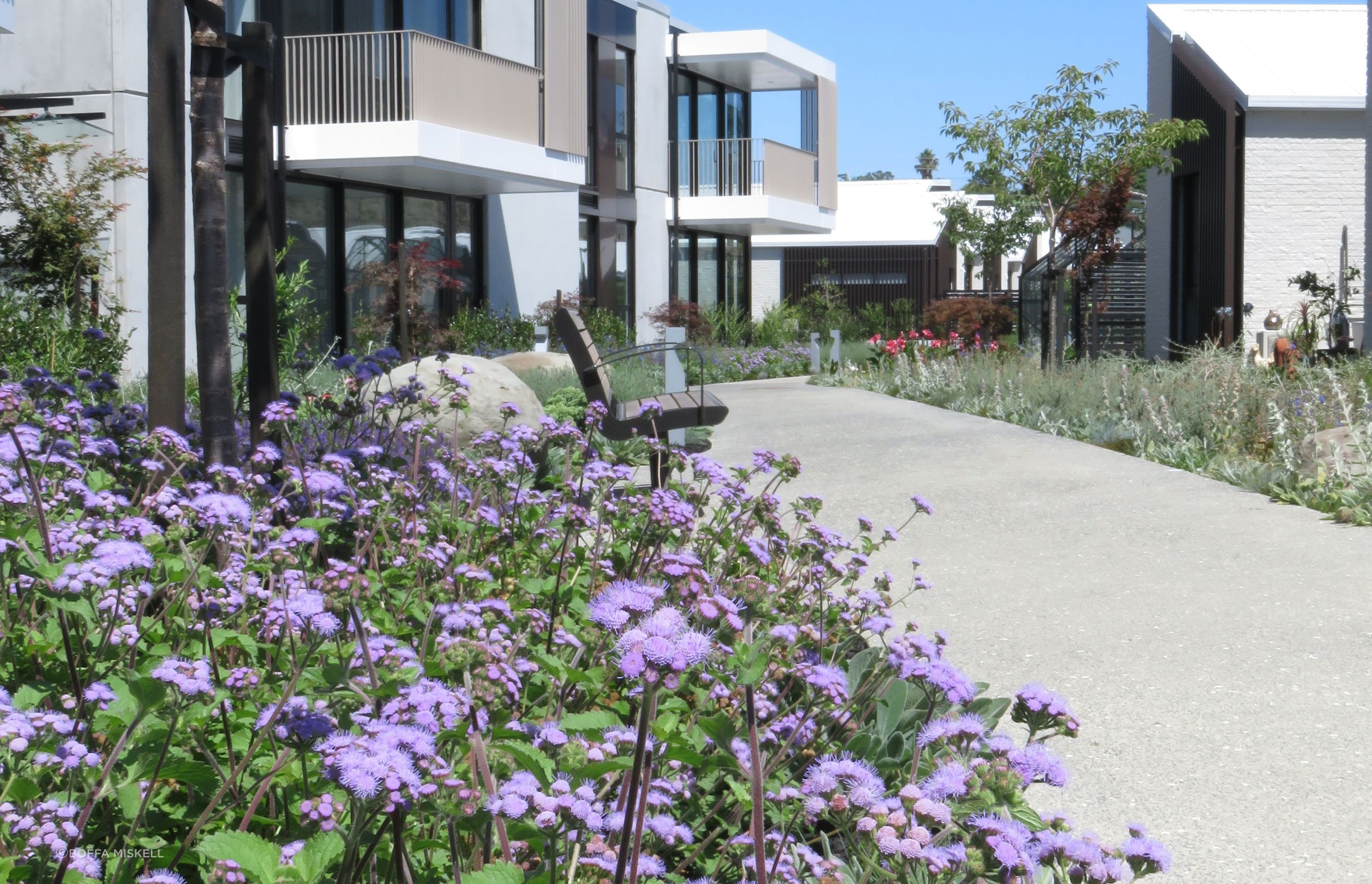 Elements such as interconnected pathways, seating and a covered deck platform encourage residents to linger and to meet with neighbours.