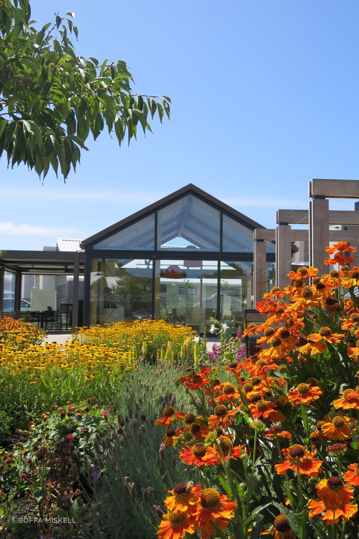 Central to the design ethos of community and connectivity is a communal space known as The Pavilion, where residents can entertain family and friends or just meet up with other residents.