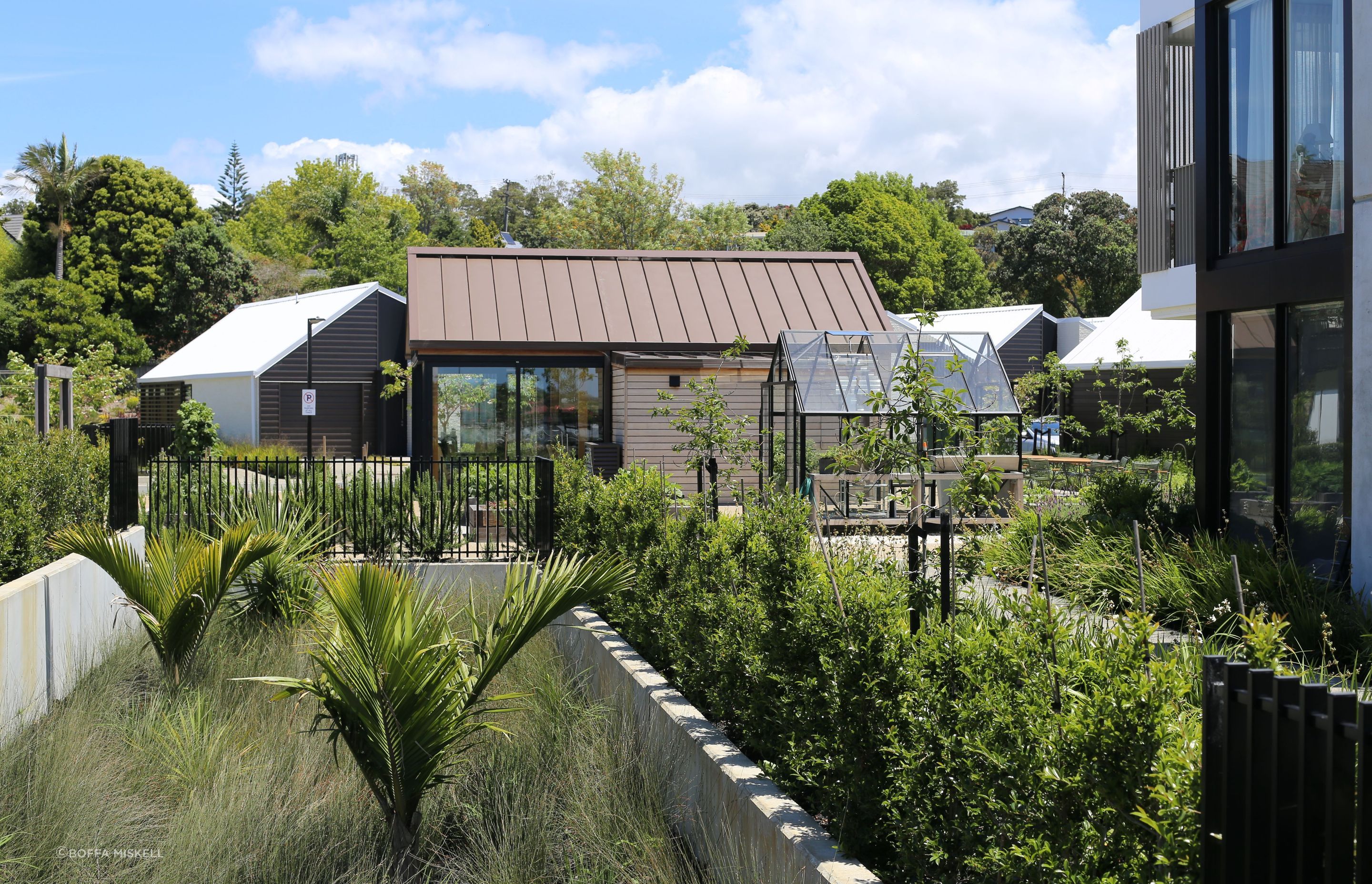 Planting incorporates a mix of natives and exotics to provide year-round interest.  Satin black, low-profile fencing has been used sparingly to ensure safety but without impacting sightlines.