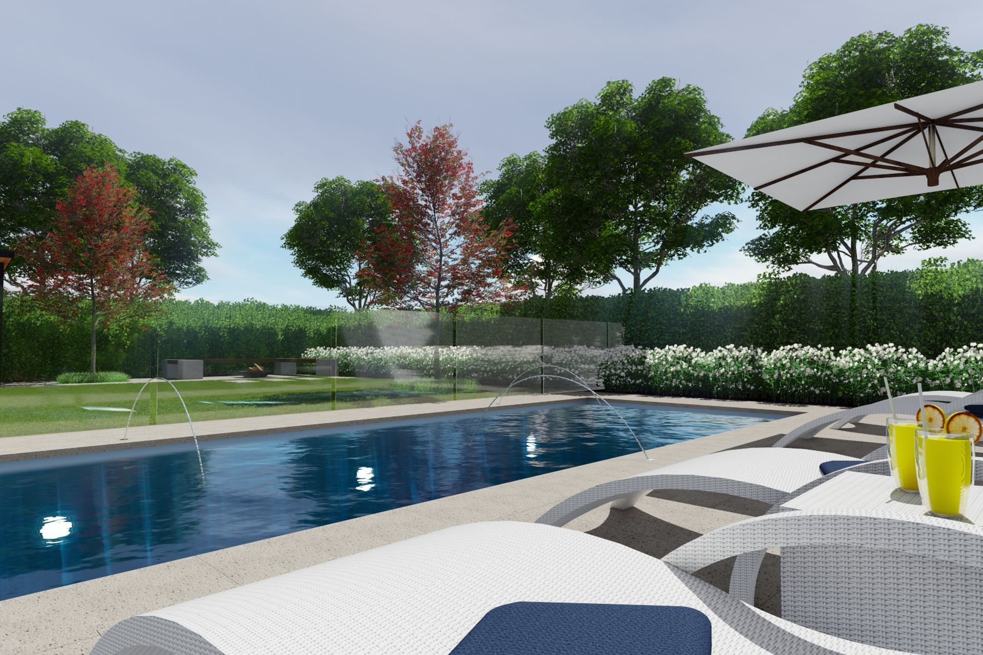 3D Renders: Anthony Scott | Landscape and pool design