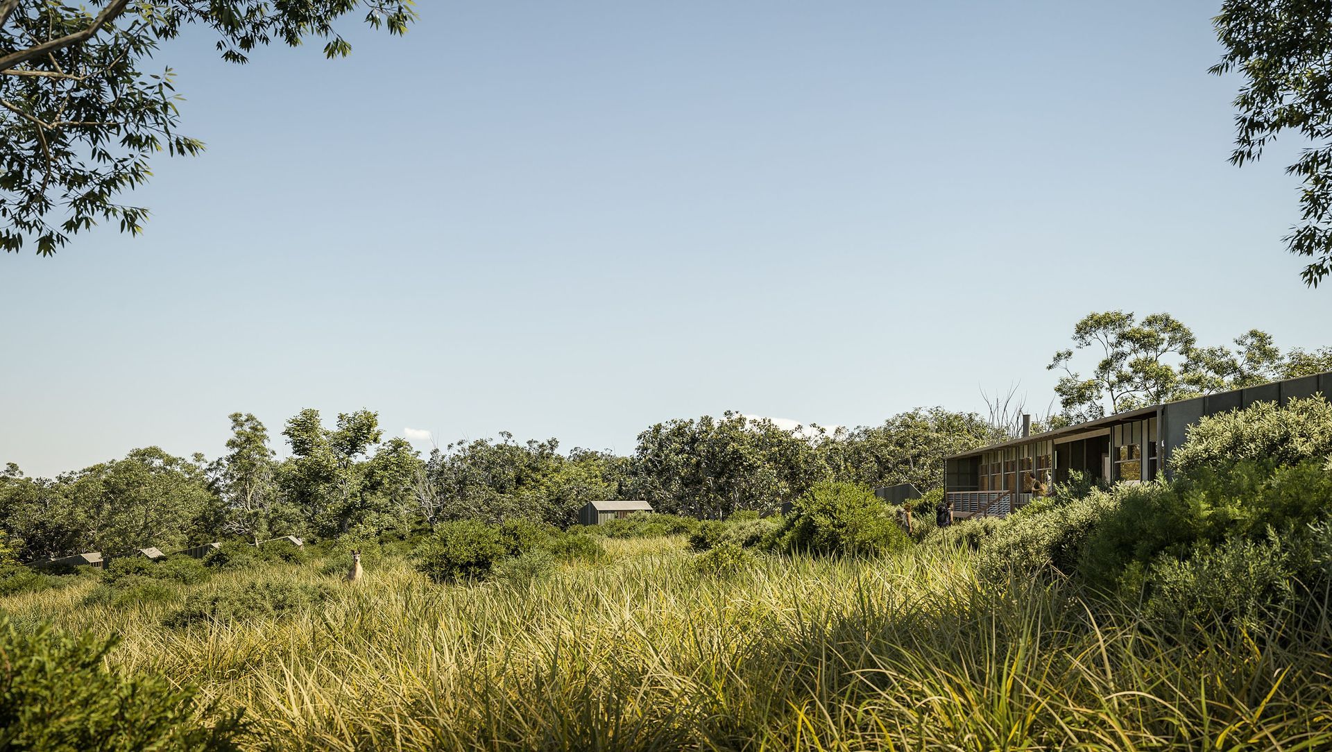 Light to Light banner