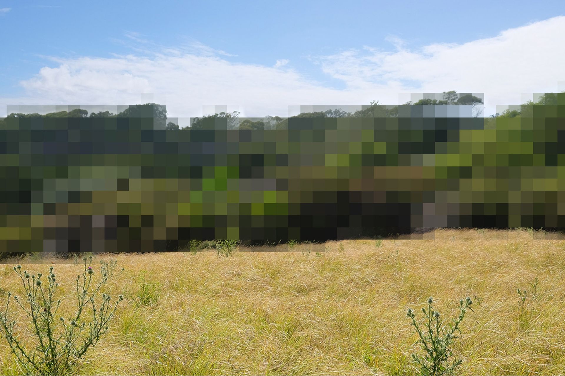 The colour tones are derived from the surrounding landscape