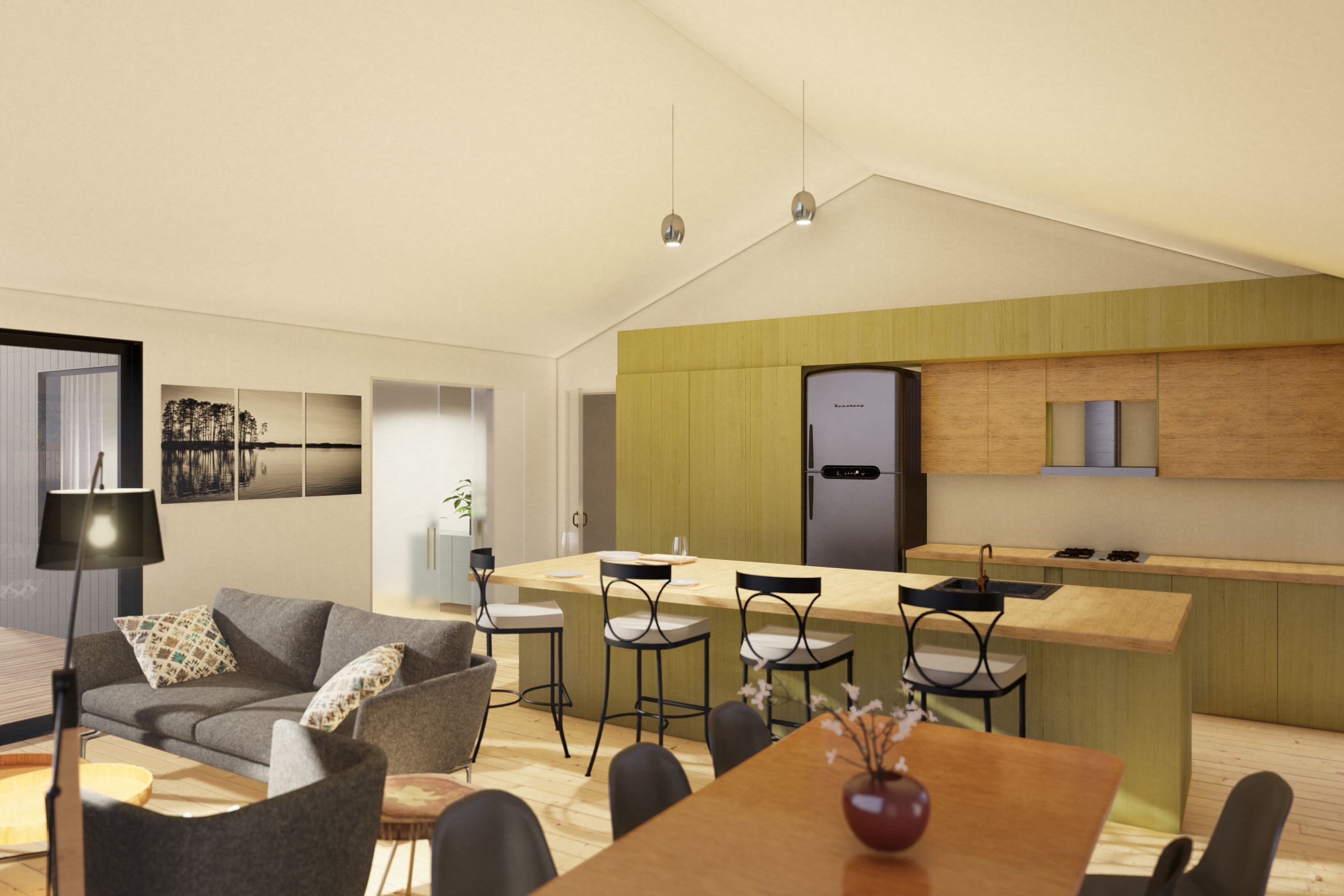 Residential house concept, Lake Hawea