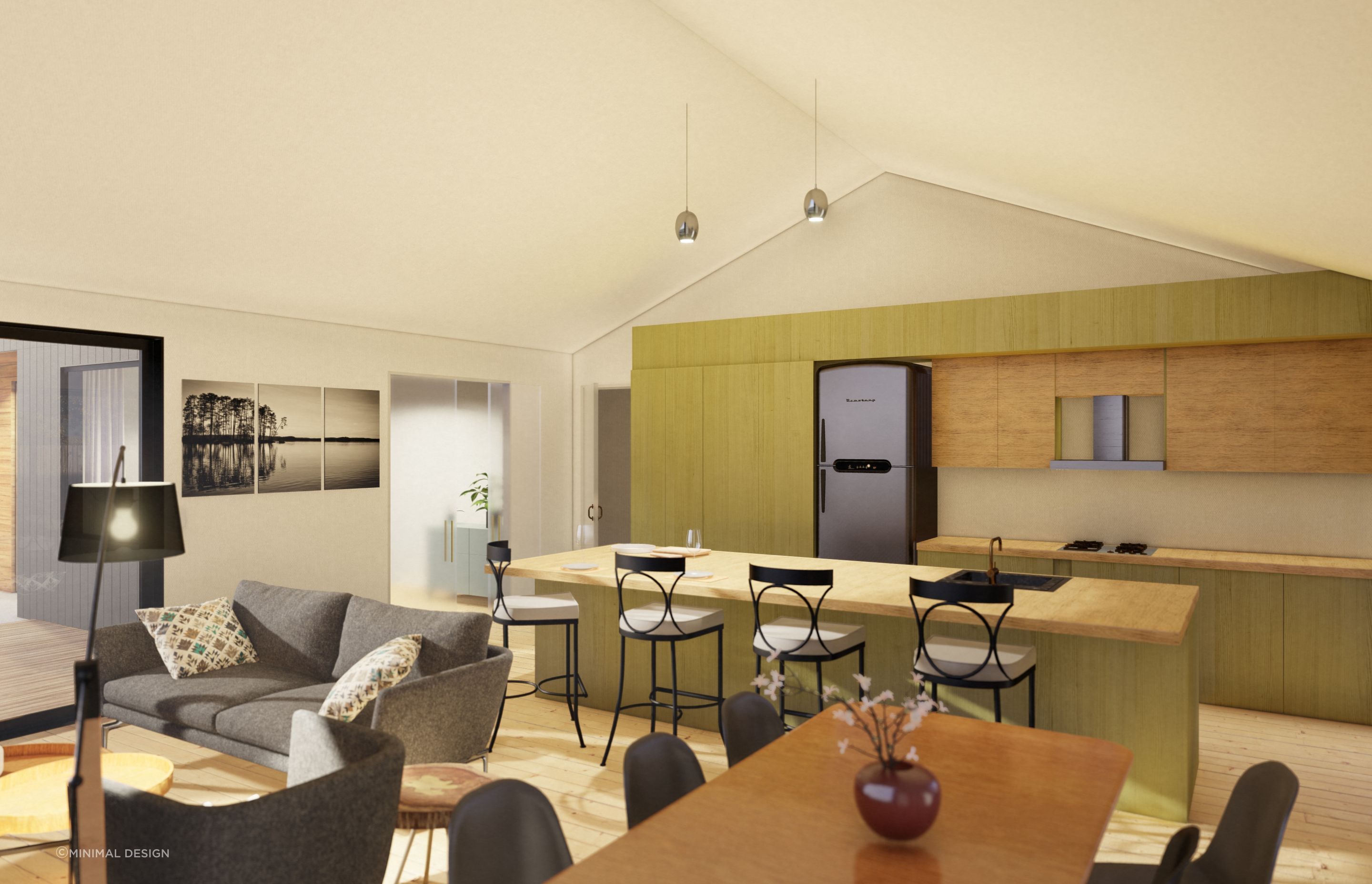 Residential house concept, Lake Hawea