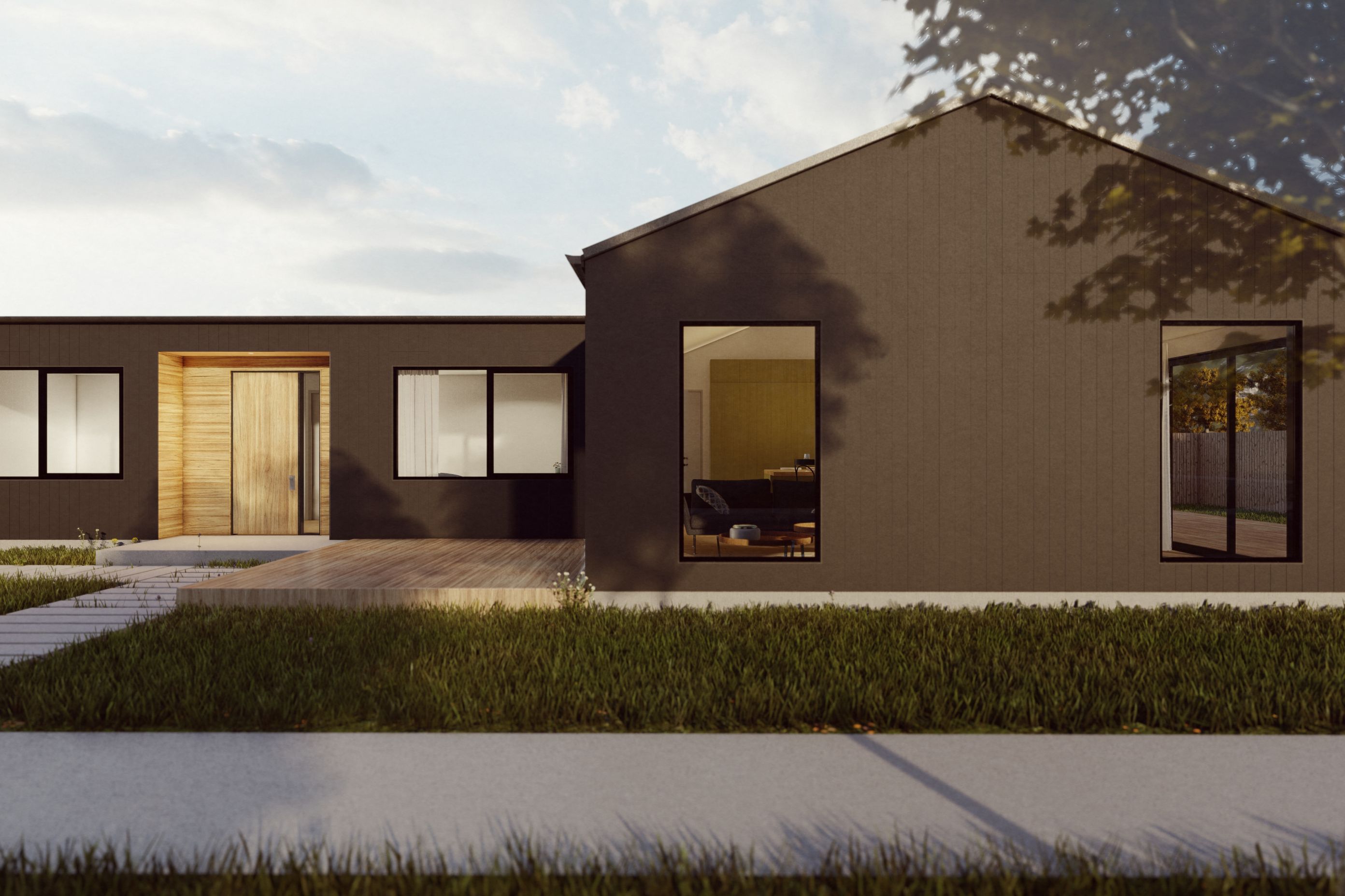 Residential house concept, Lake Hawea