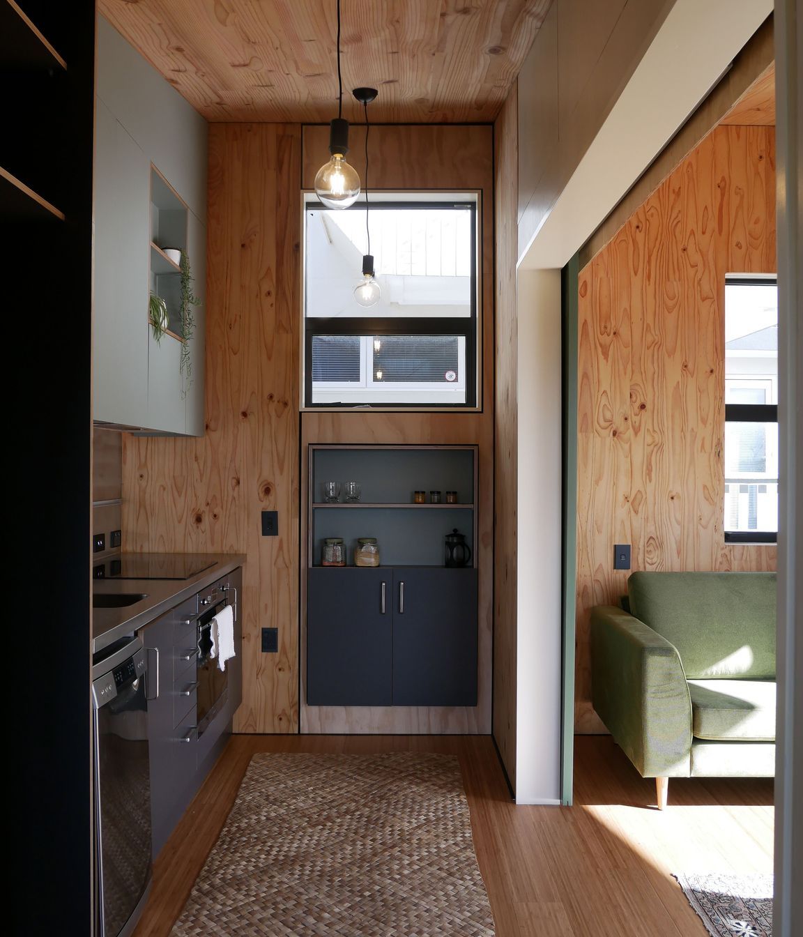 Te Whareiti Modular Infill Housing