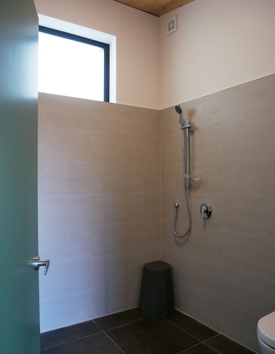 Te Whareiti Modular Infill Housing